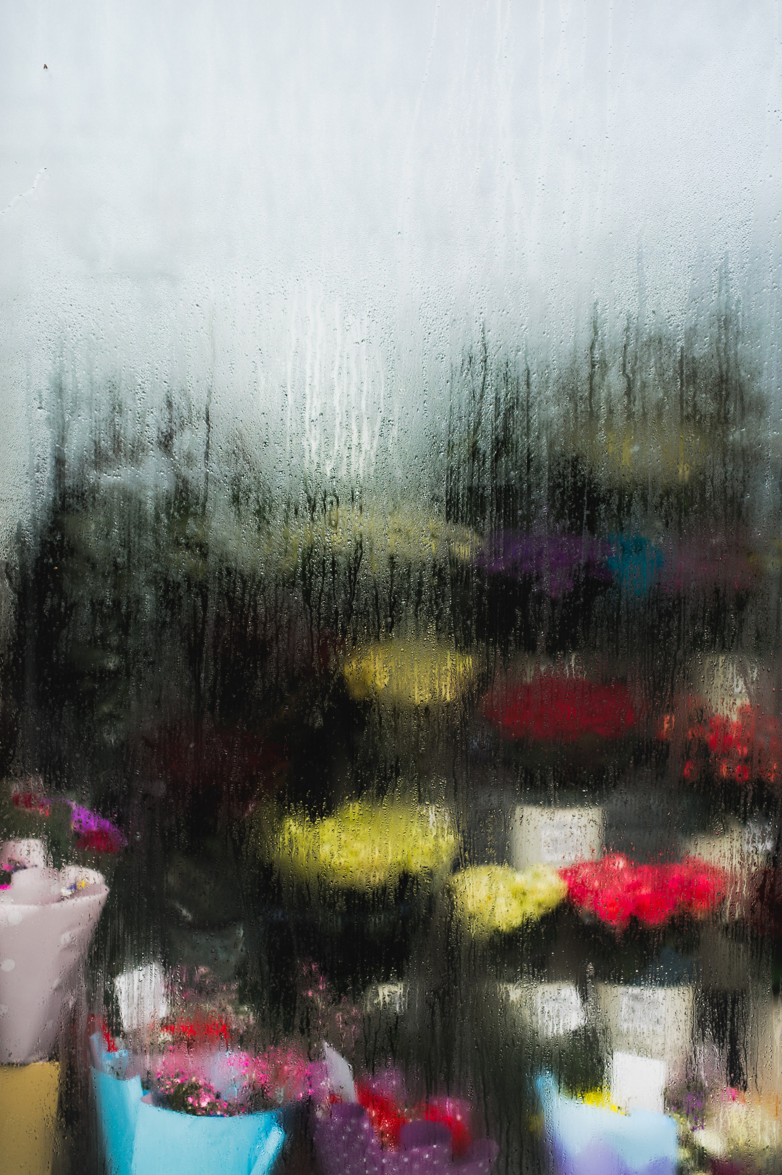 Гуляю то тут то там. Photographer Alik Melkonyan