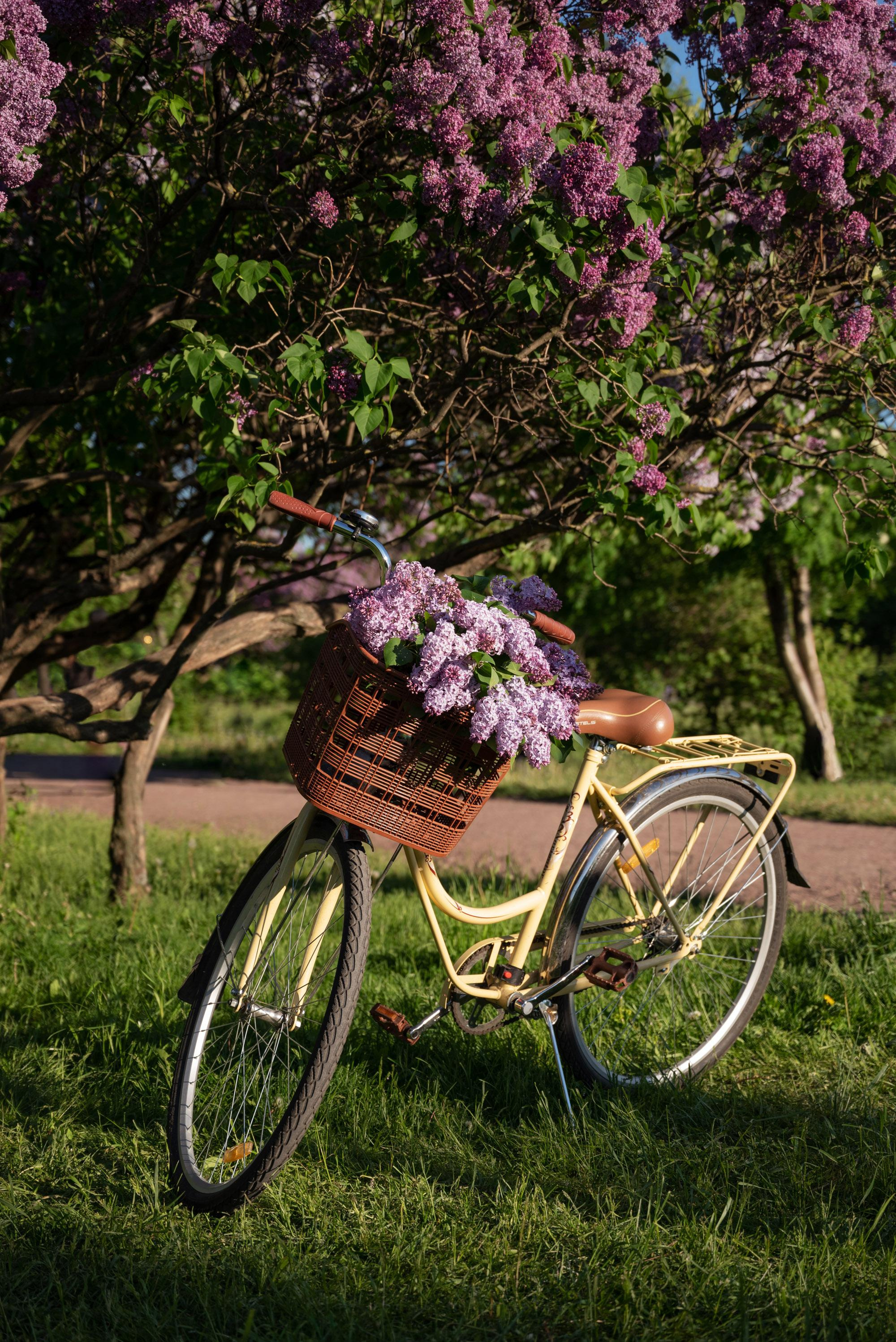 Цветущая сирень. Свадебный фотограф в Санкт-Петербурге Владислава Тюльпина