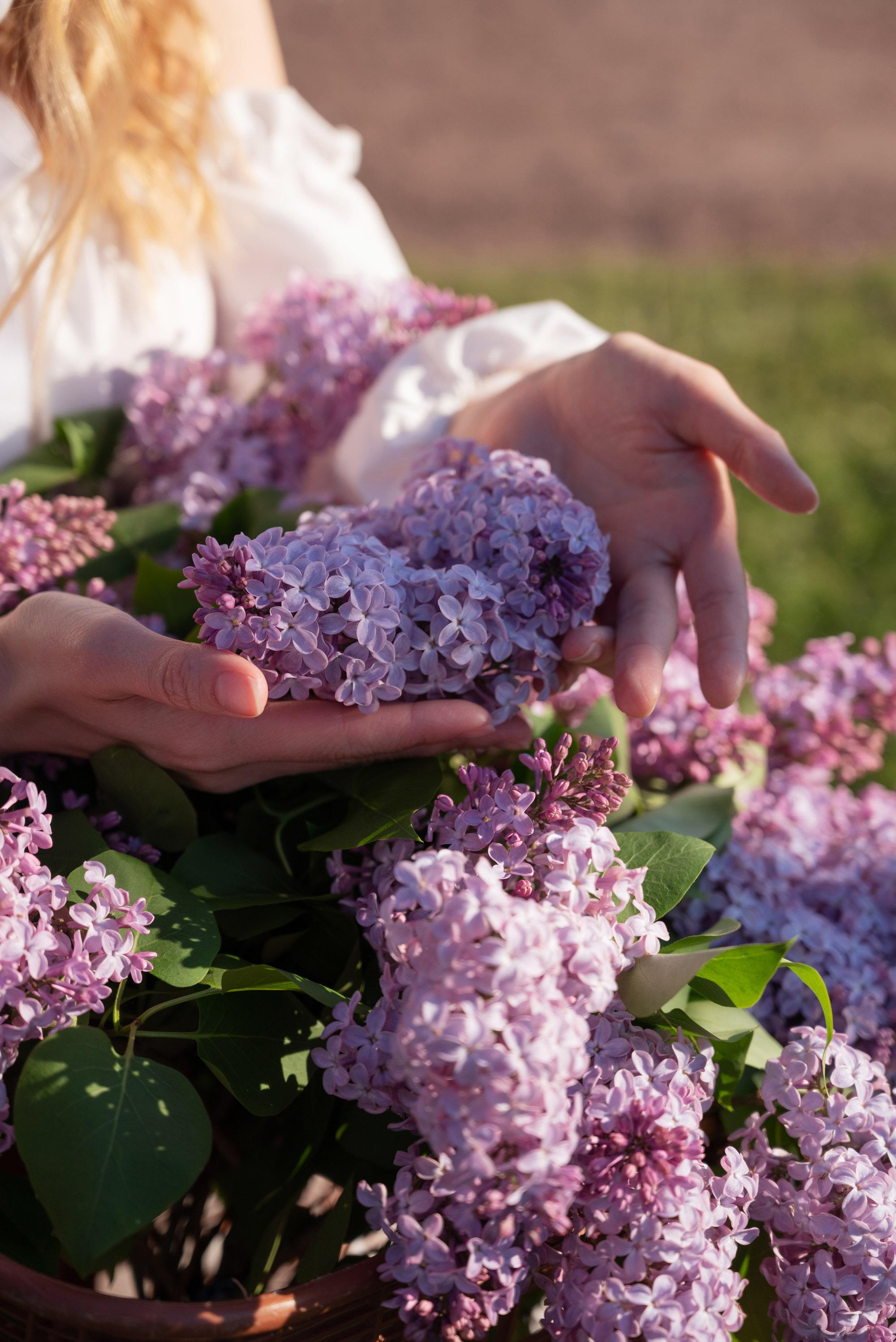 Цветущая сирень. Свадебный фотограф в Санкт-Петербурге Владислава Тюльпина