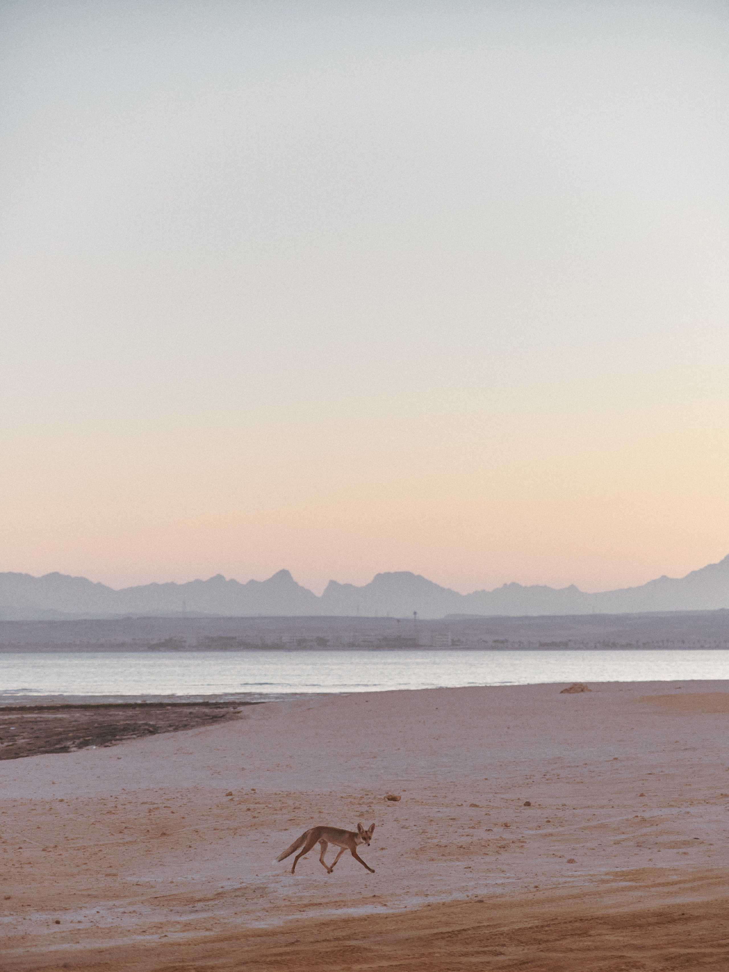 Природа. Jorgis Talè — photographer, kind person, teacher of arts and other mag