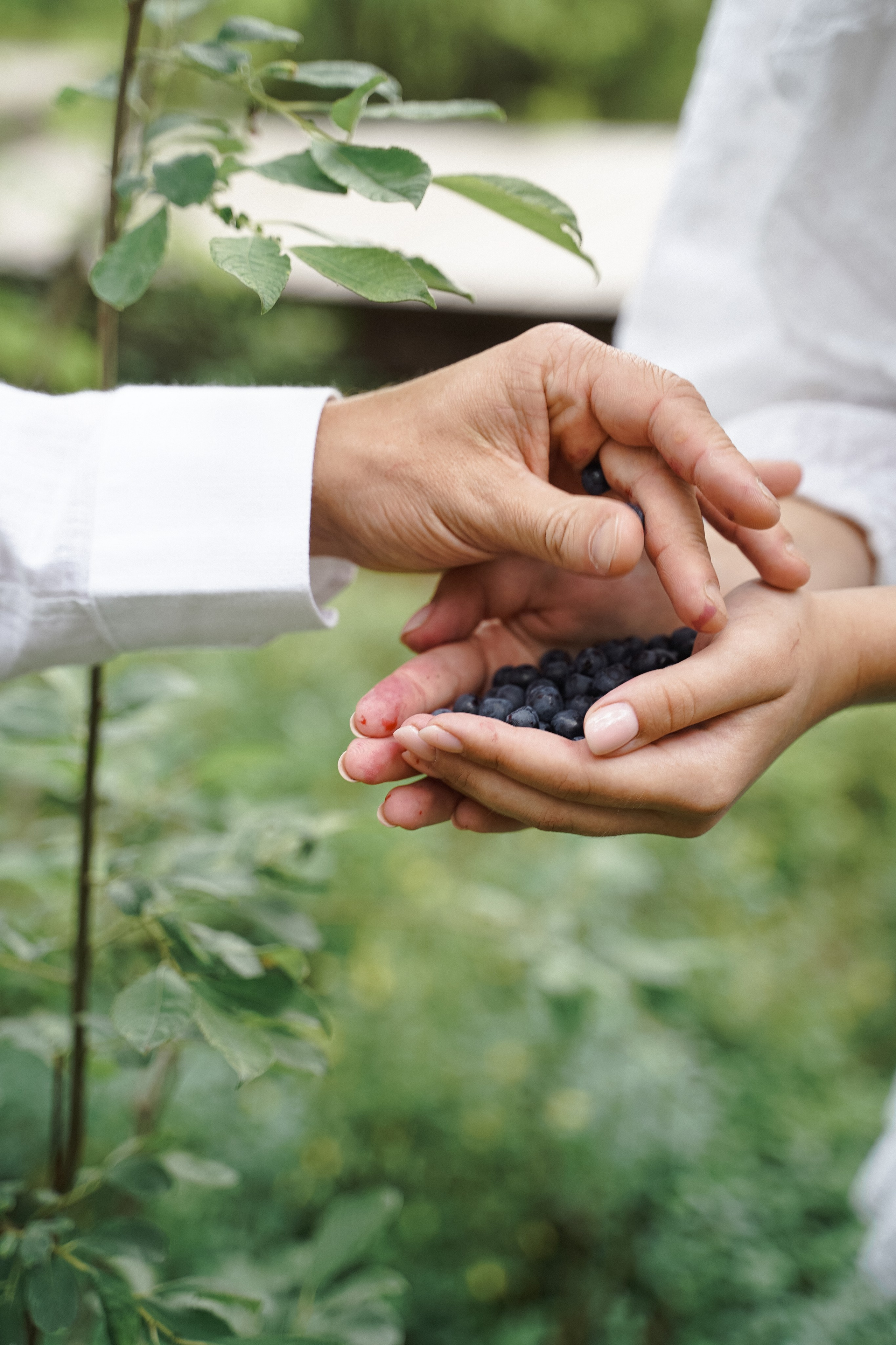 Свадьба на заливе в атлантисе. Свадебный фотограф организатор в Санкт-Петербурге Ассоль Опарина
