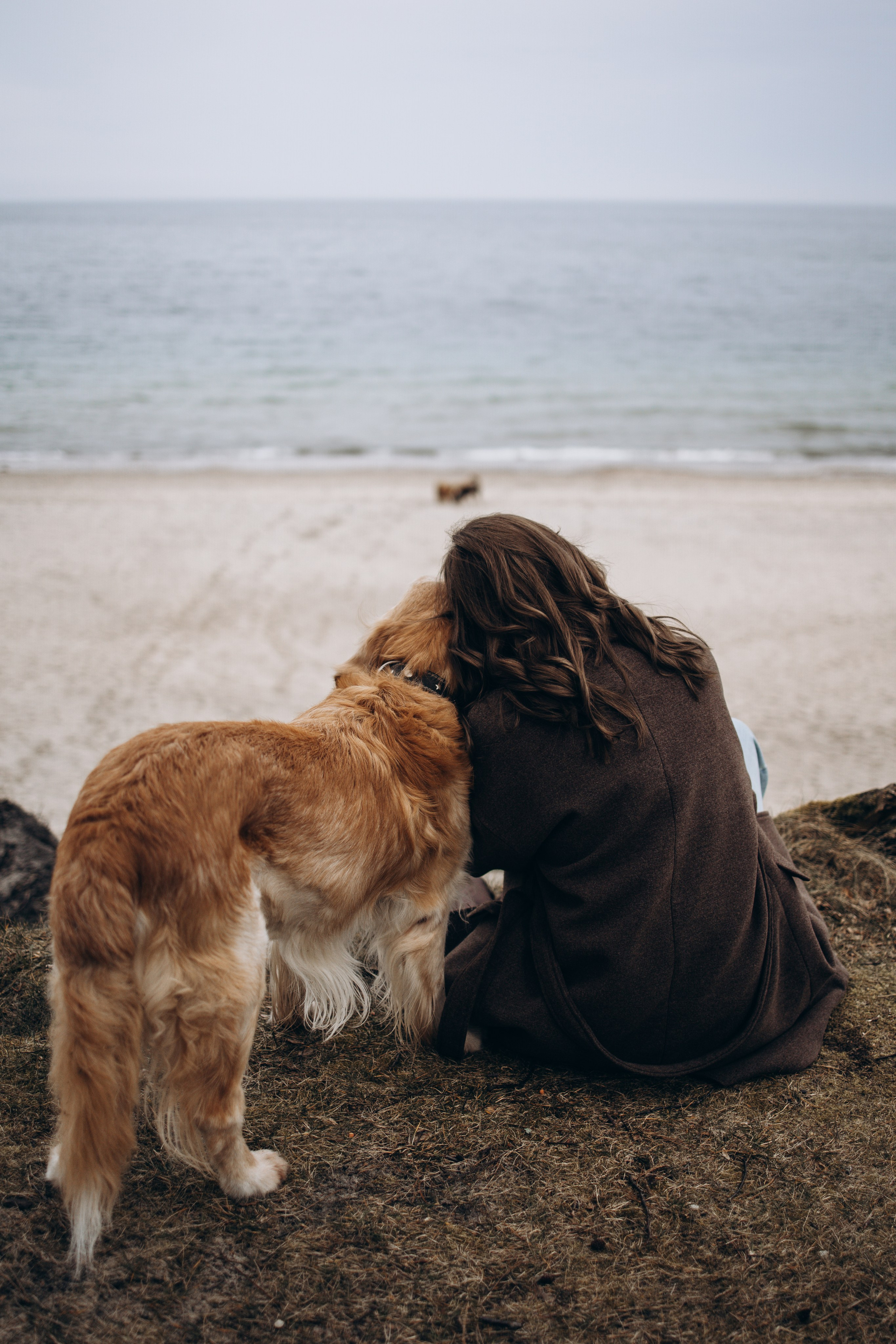 Юля и Максик. Фотограф — Анималист | Санкт-Петербург