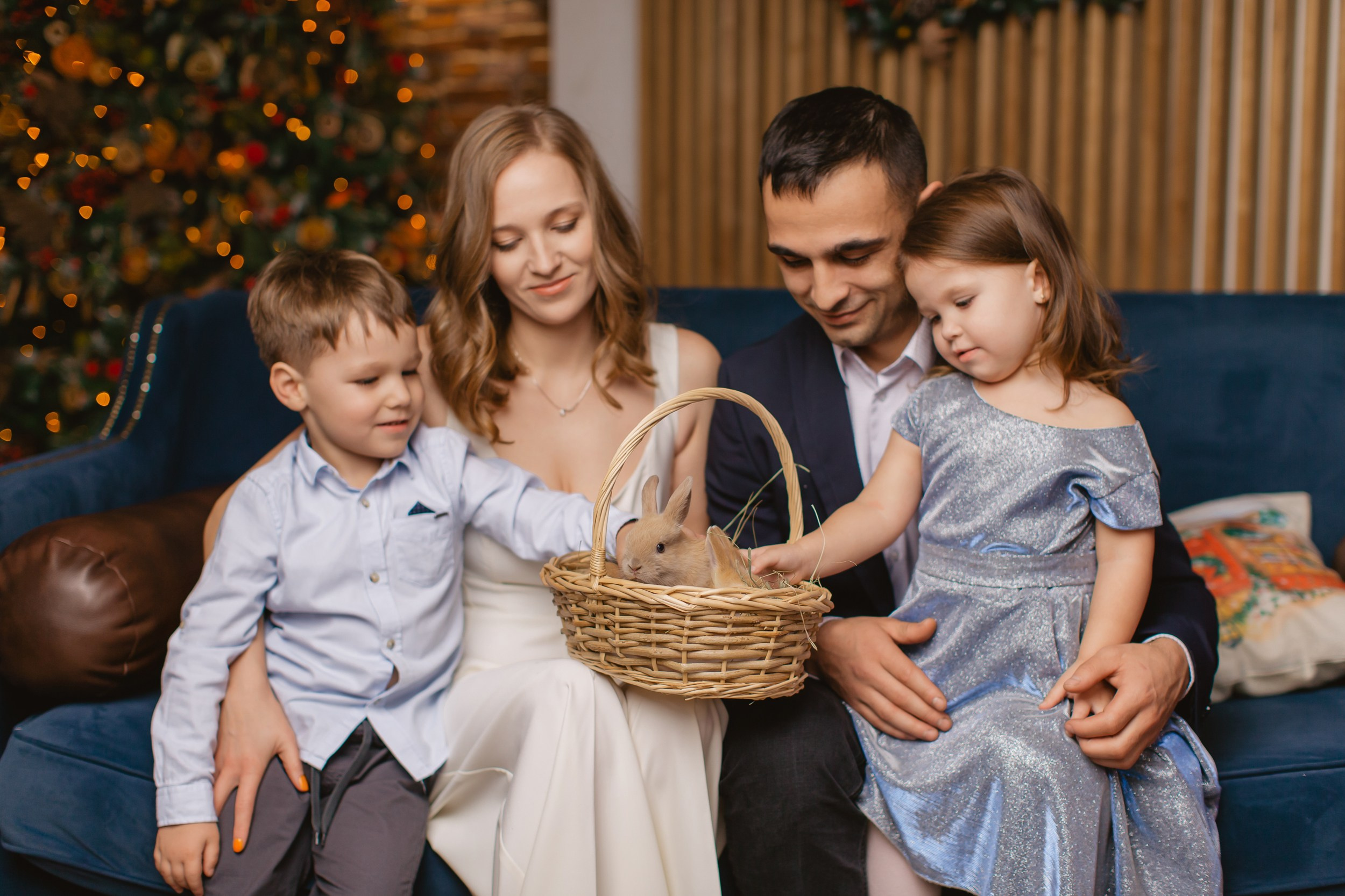 Новогодние фотосессии 2025/2026. Истории