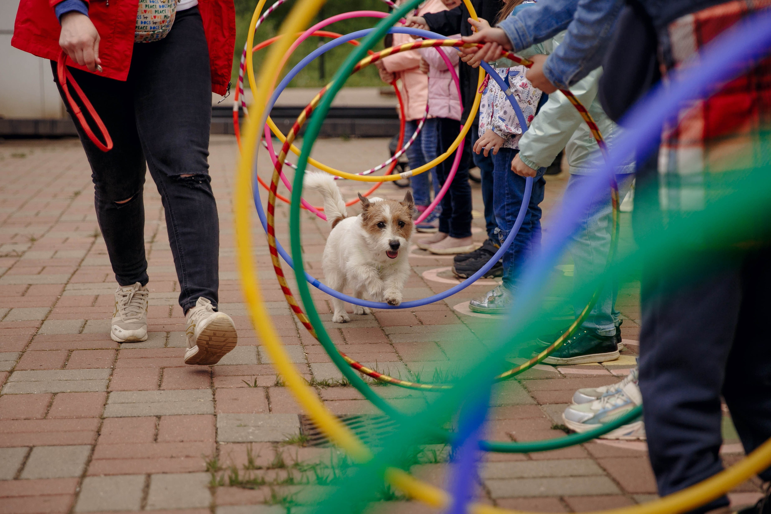 5 лет колесу обозрения. Ваш репортажный фотограф Артемий Антонов