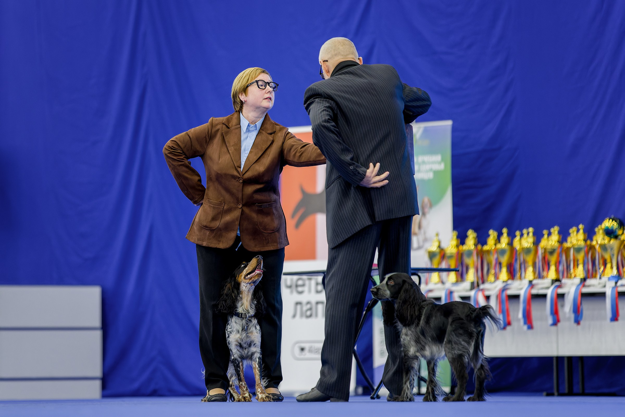 Танцы с собаками. Зоошоу 14.12.2025. Irenephoto.ru