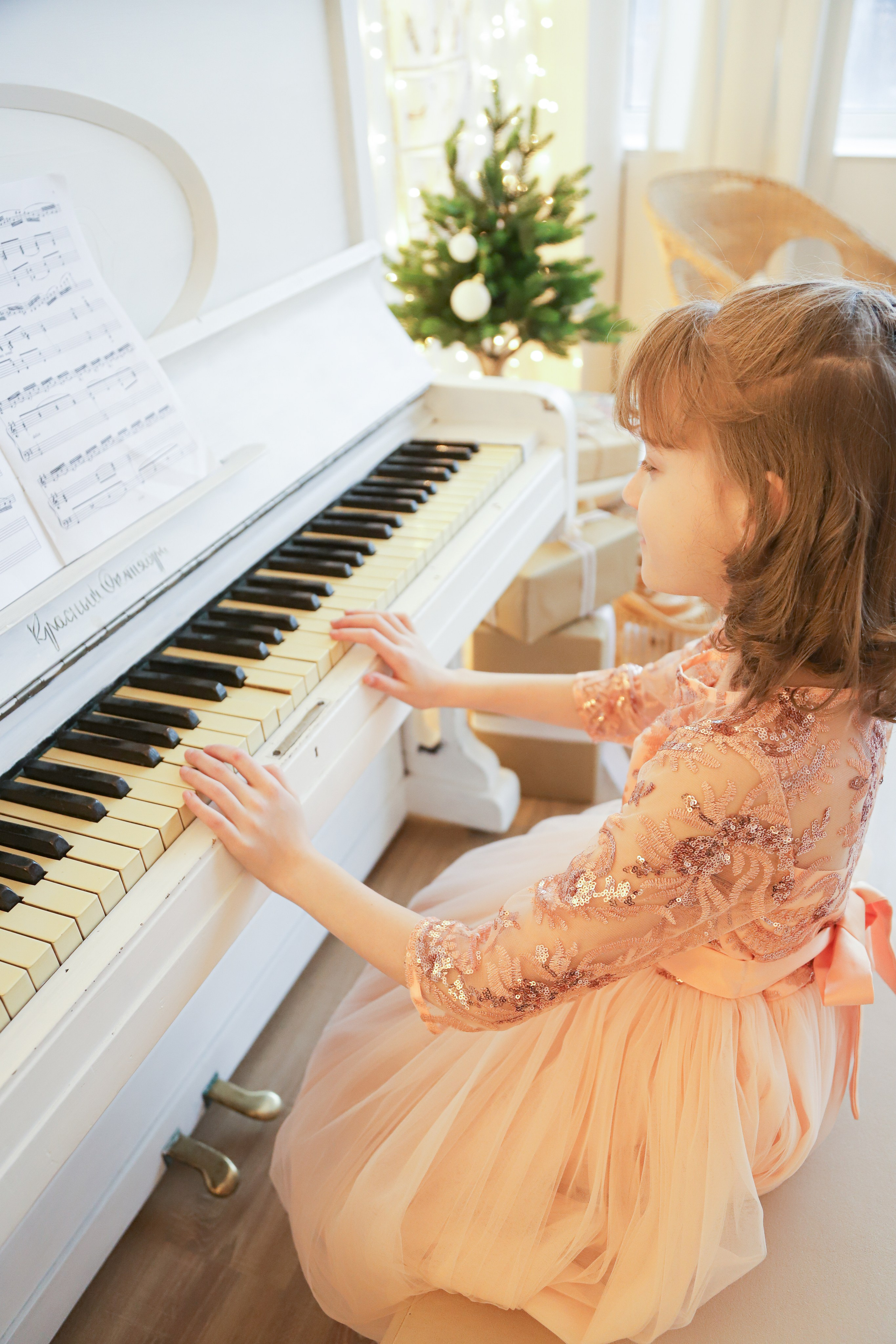 Сестрички новогодняя. Диана Николаева — фотограф город Балашиха