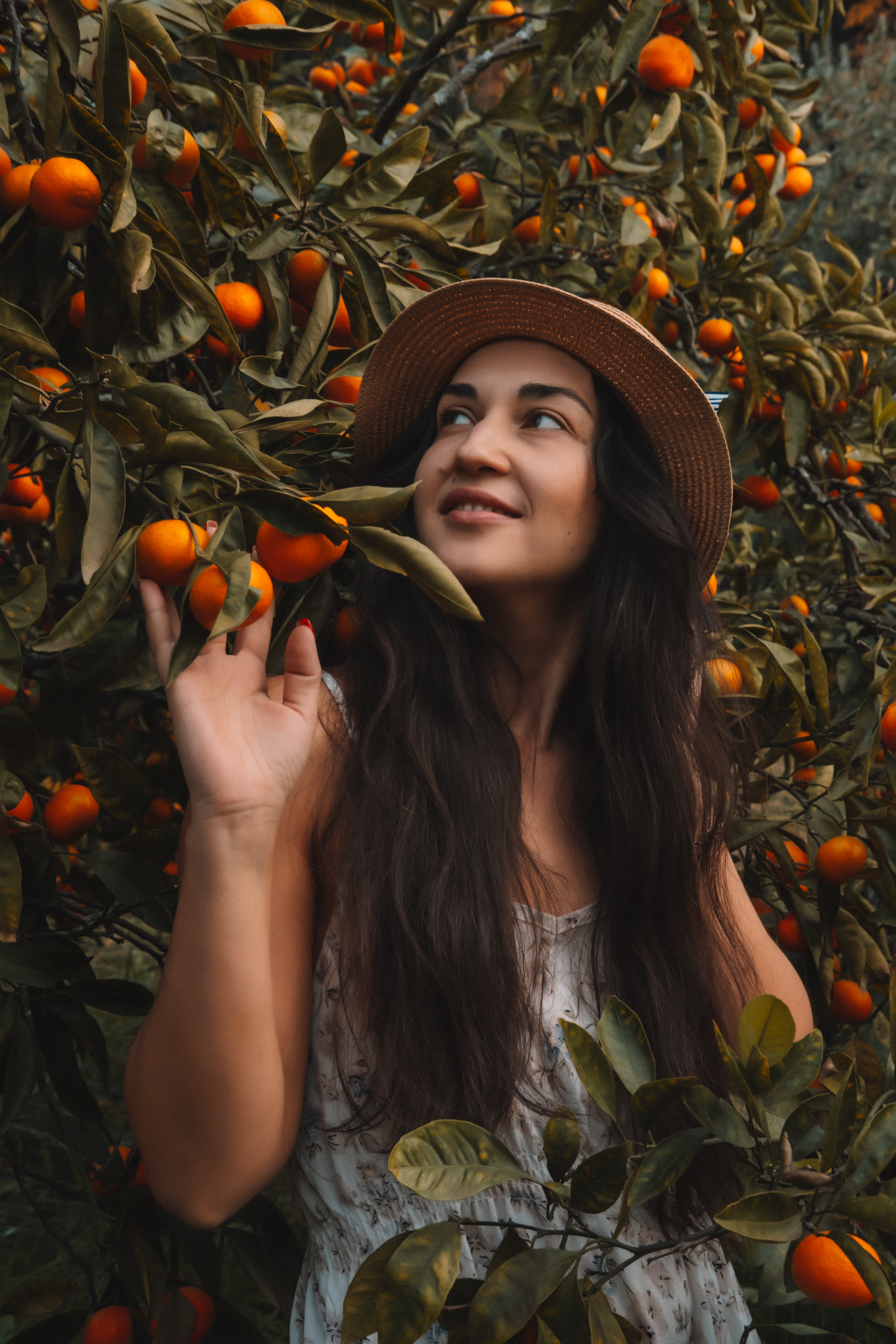 Стелла в мандаринах