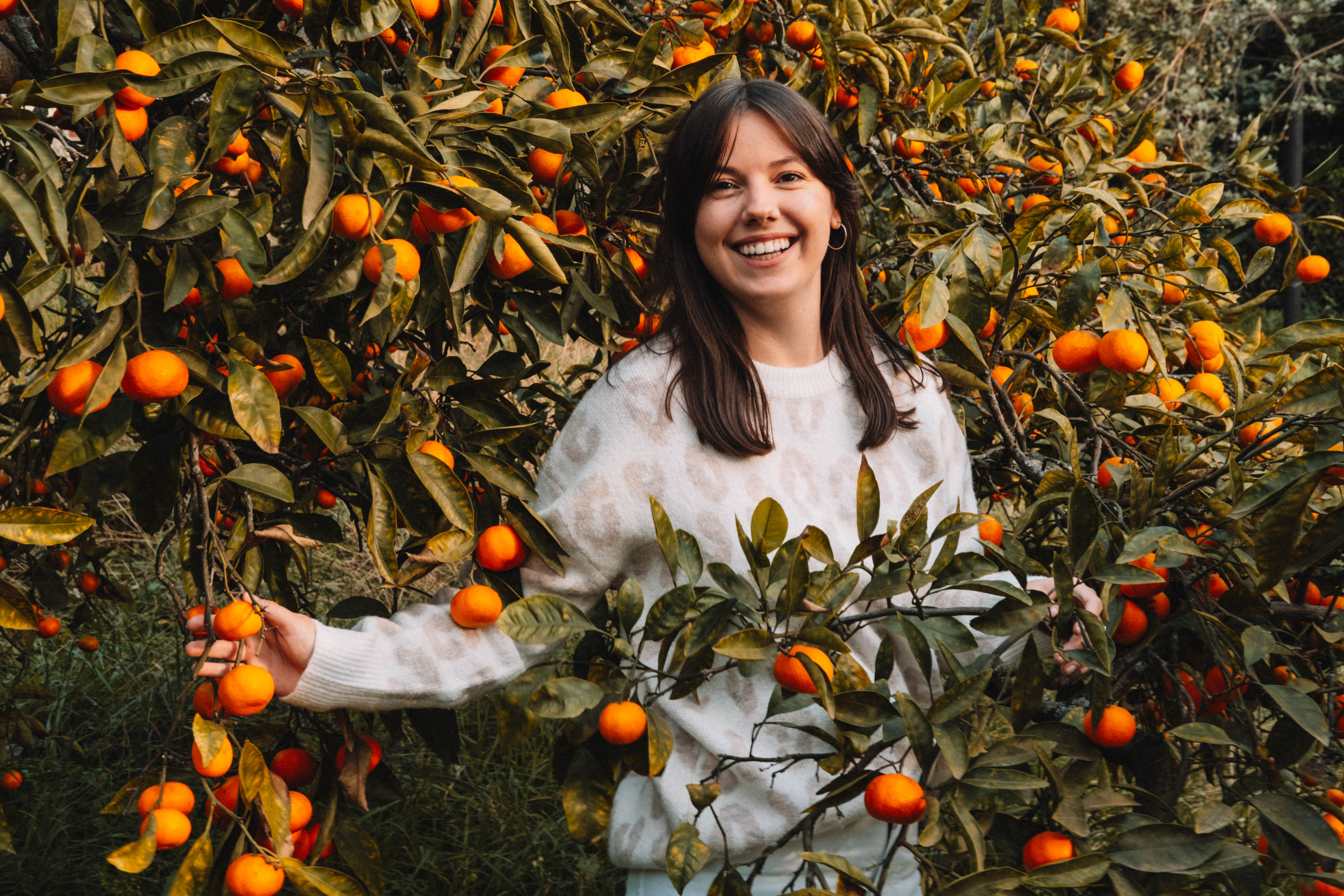 Фотодень «Мандариновый рай»