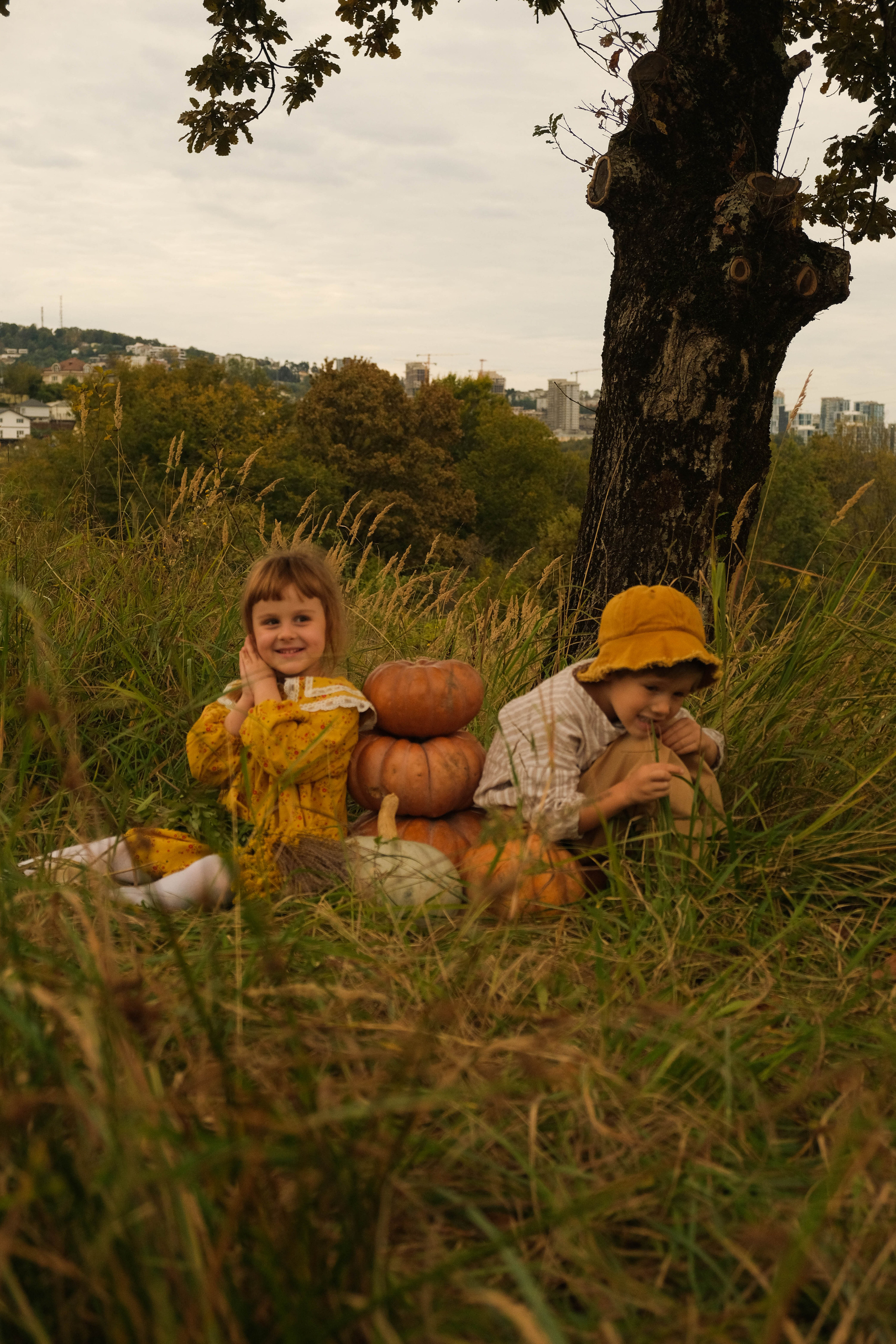 Ясения и Илья