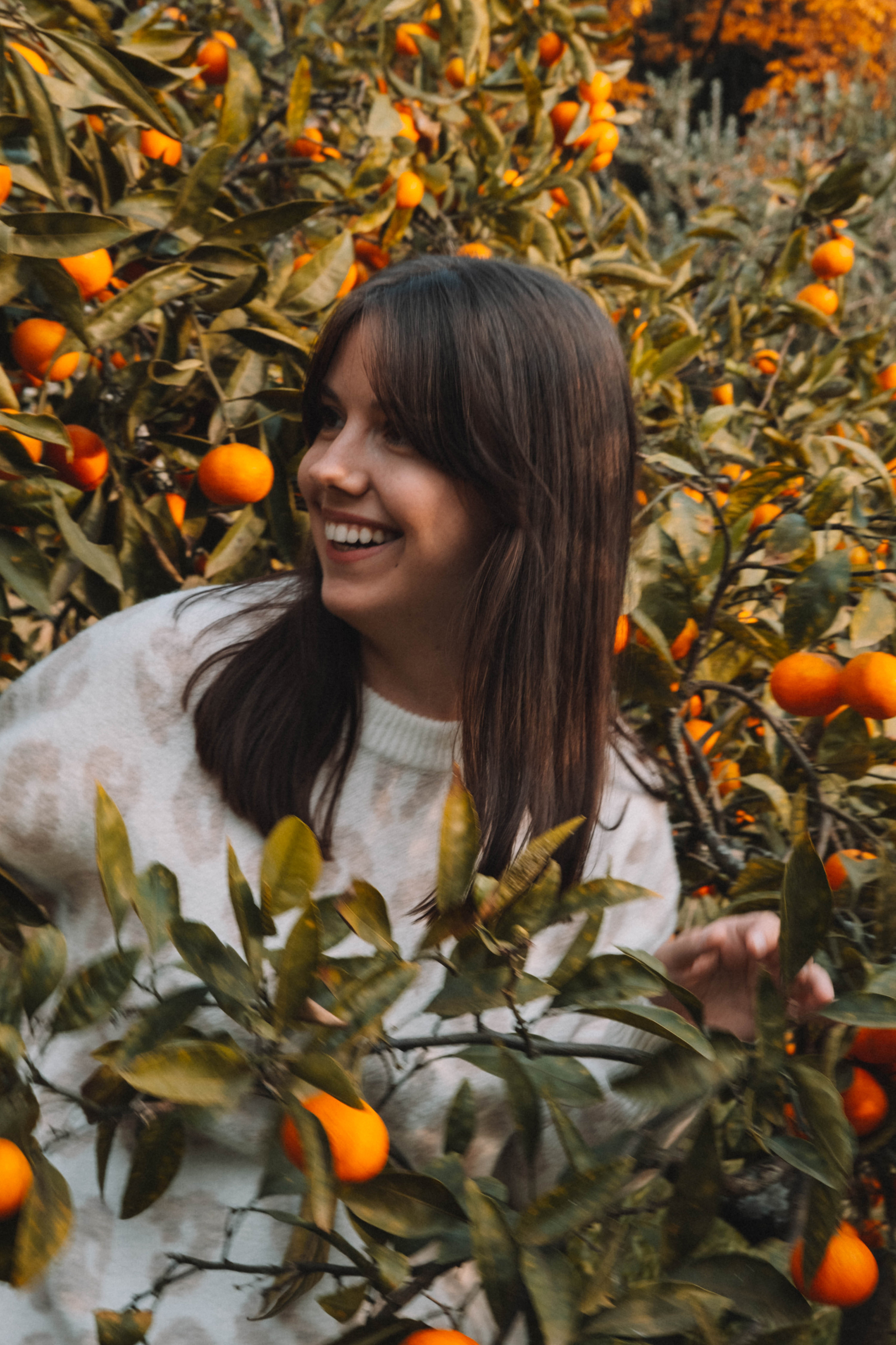 Фотодень «Мандариновый рай»