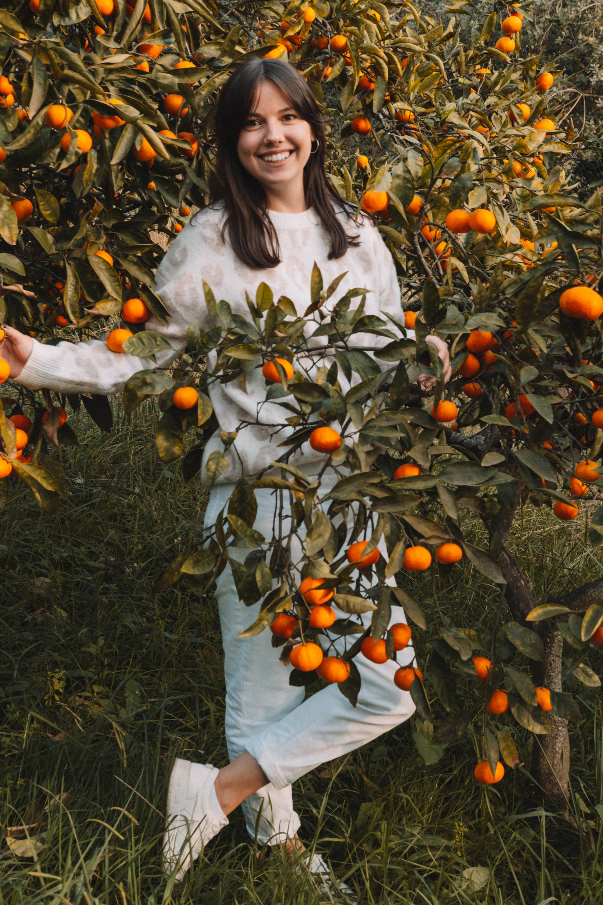 Фотодень «Мандариновый рай»