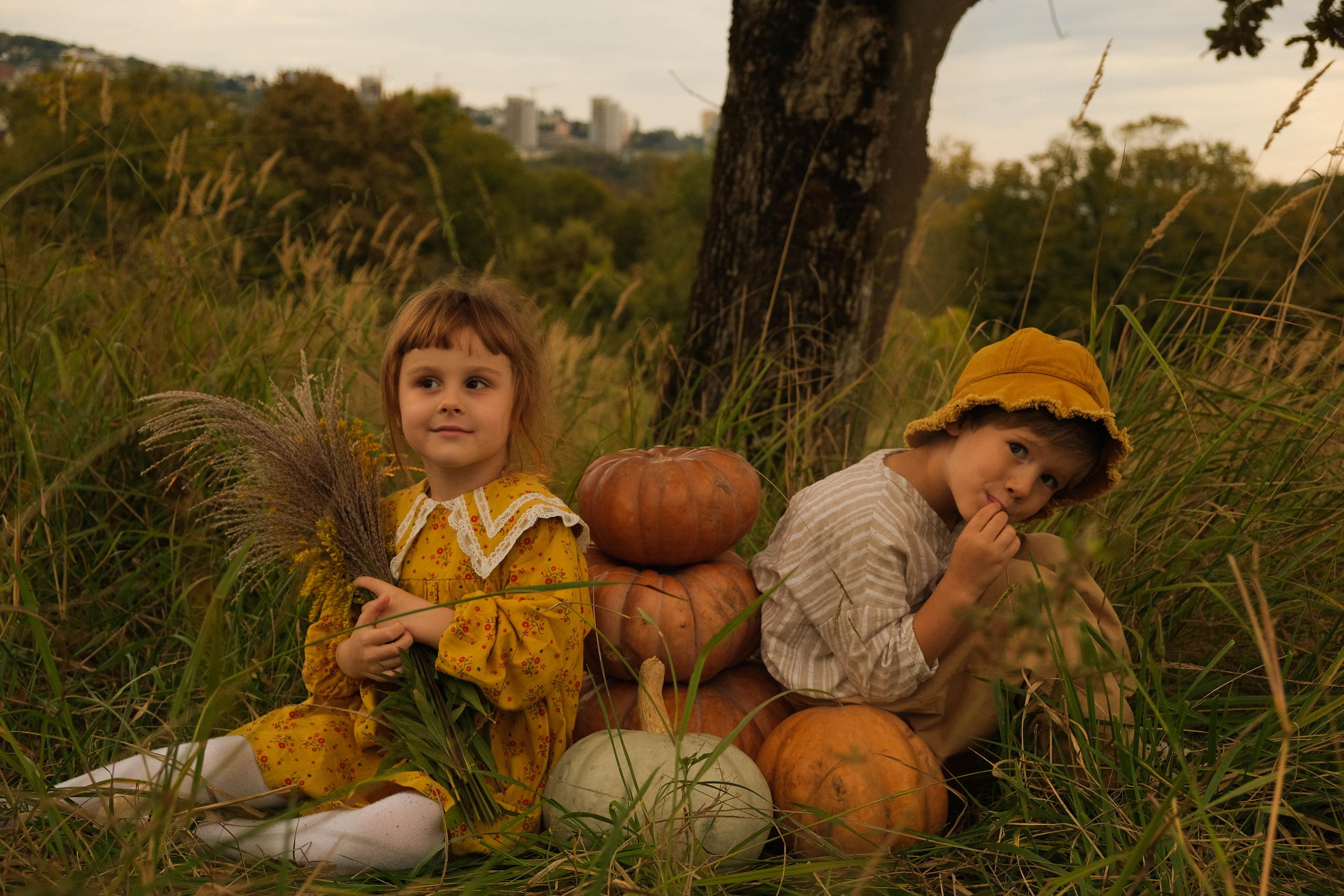 Ясения и Илья