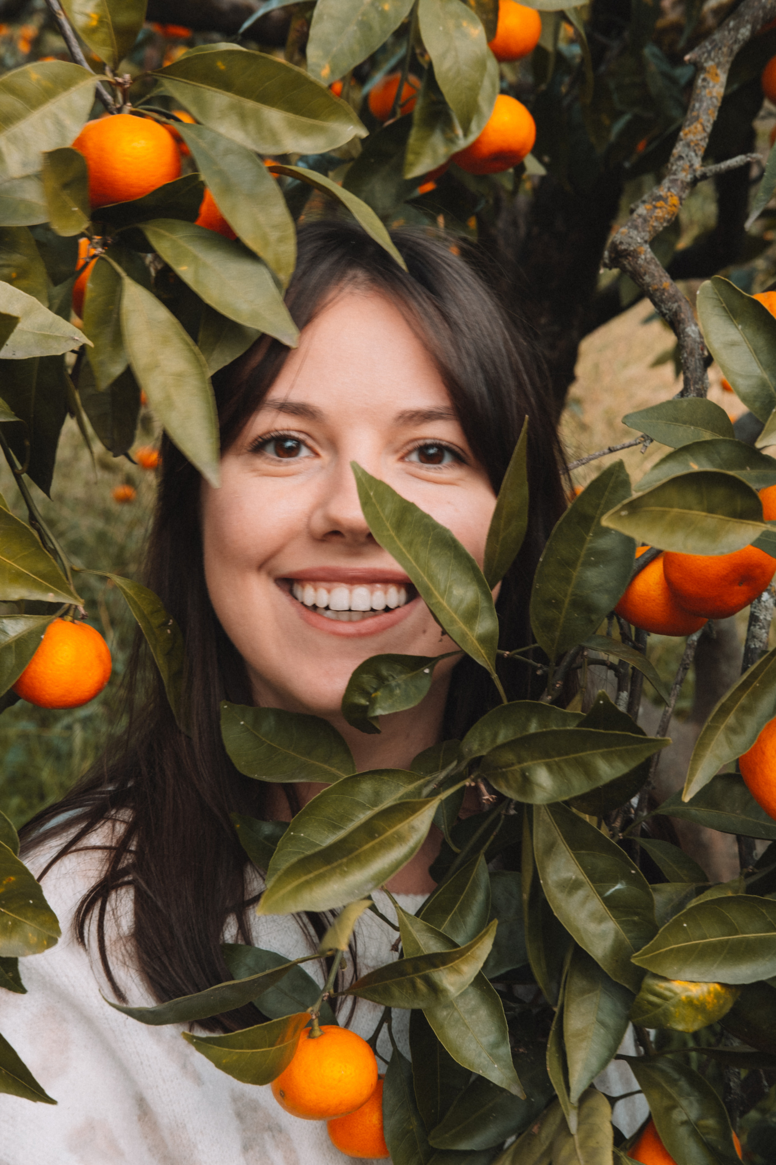 Фотодень «Мандариновый рай»