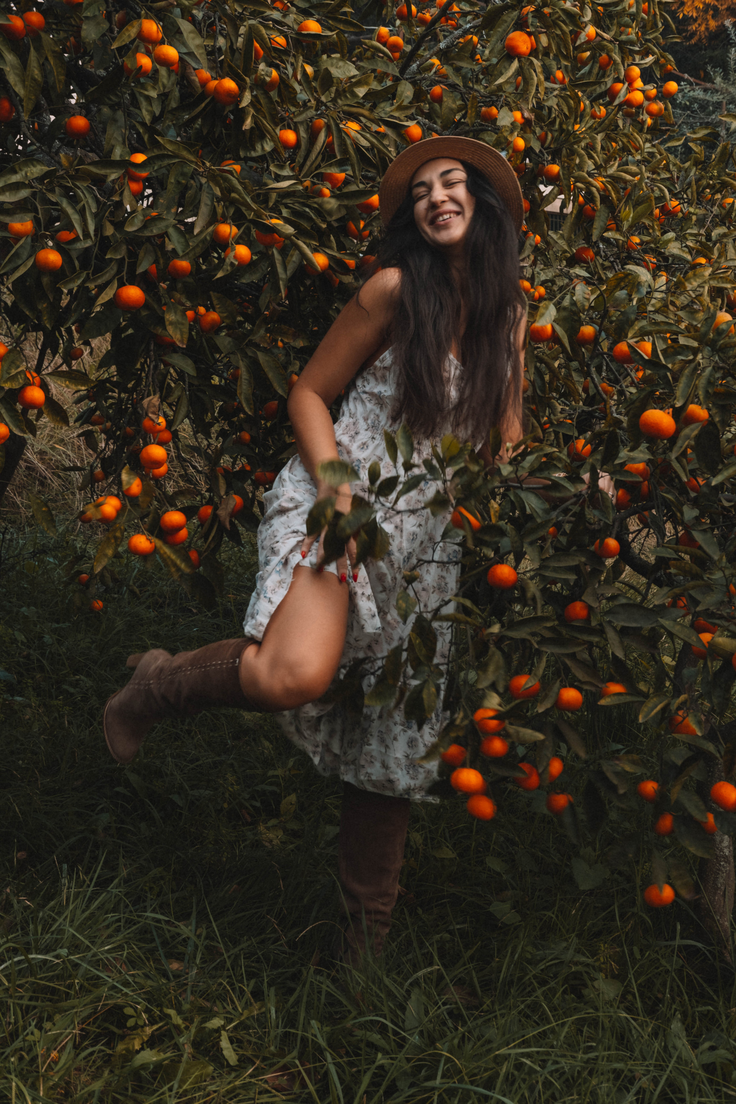 Стелла в мандаринах