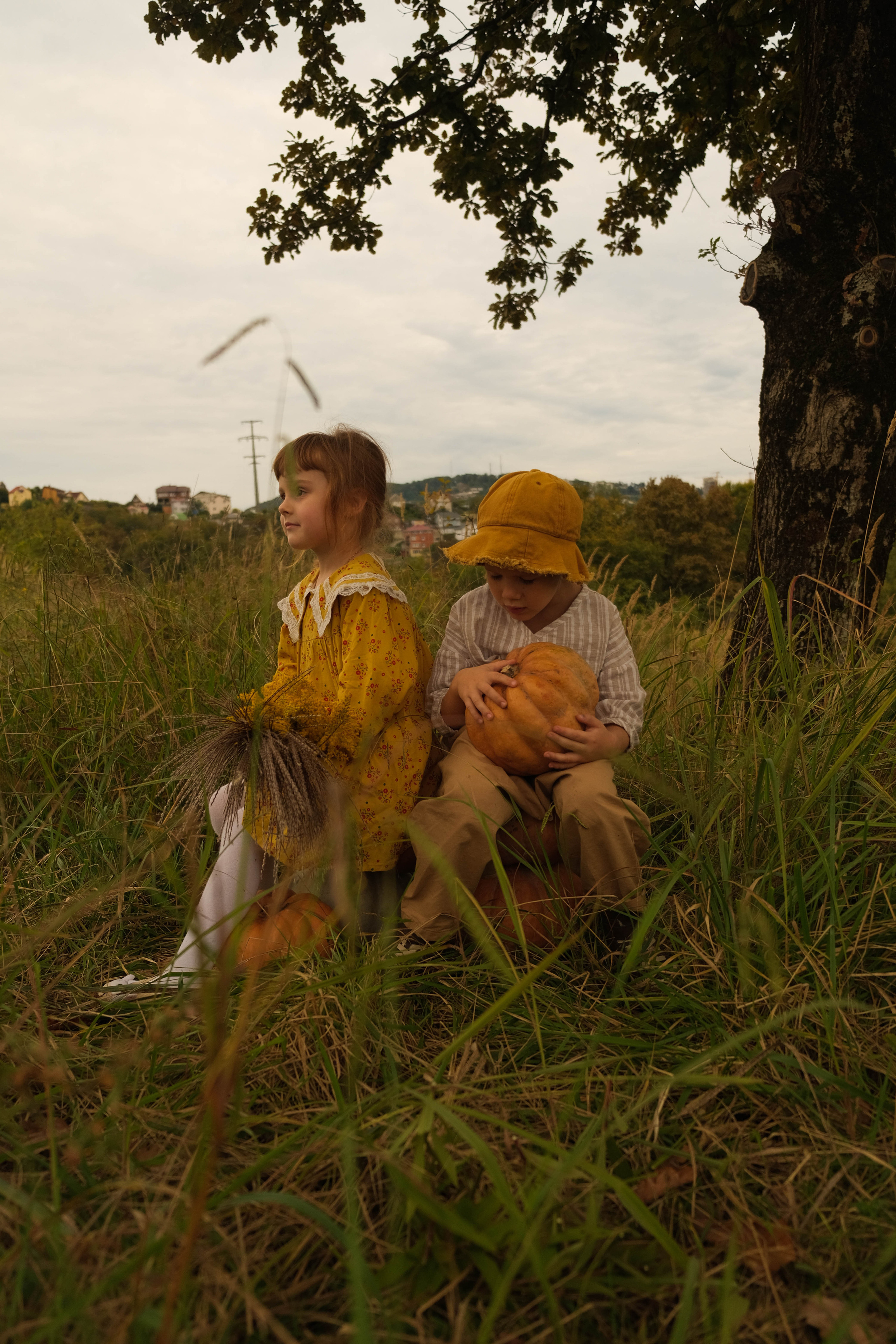 Ясения и Илья