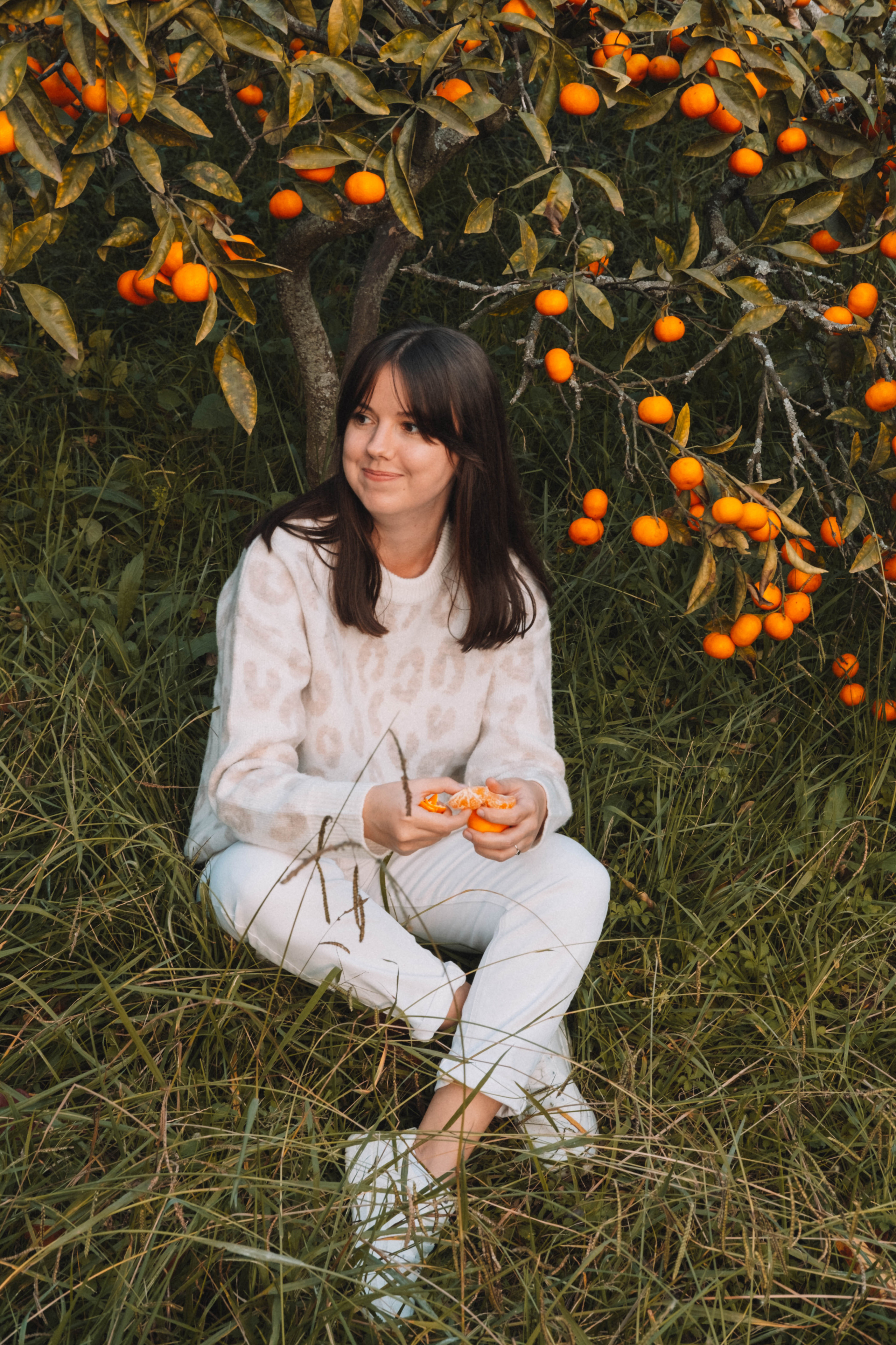 Фотодень «Мандариновый рай»