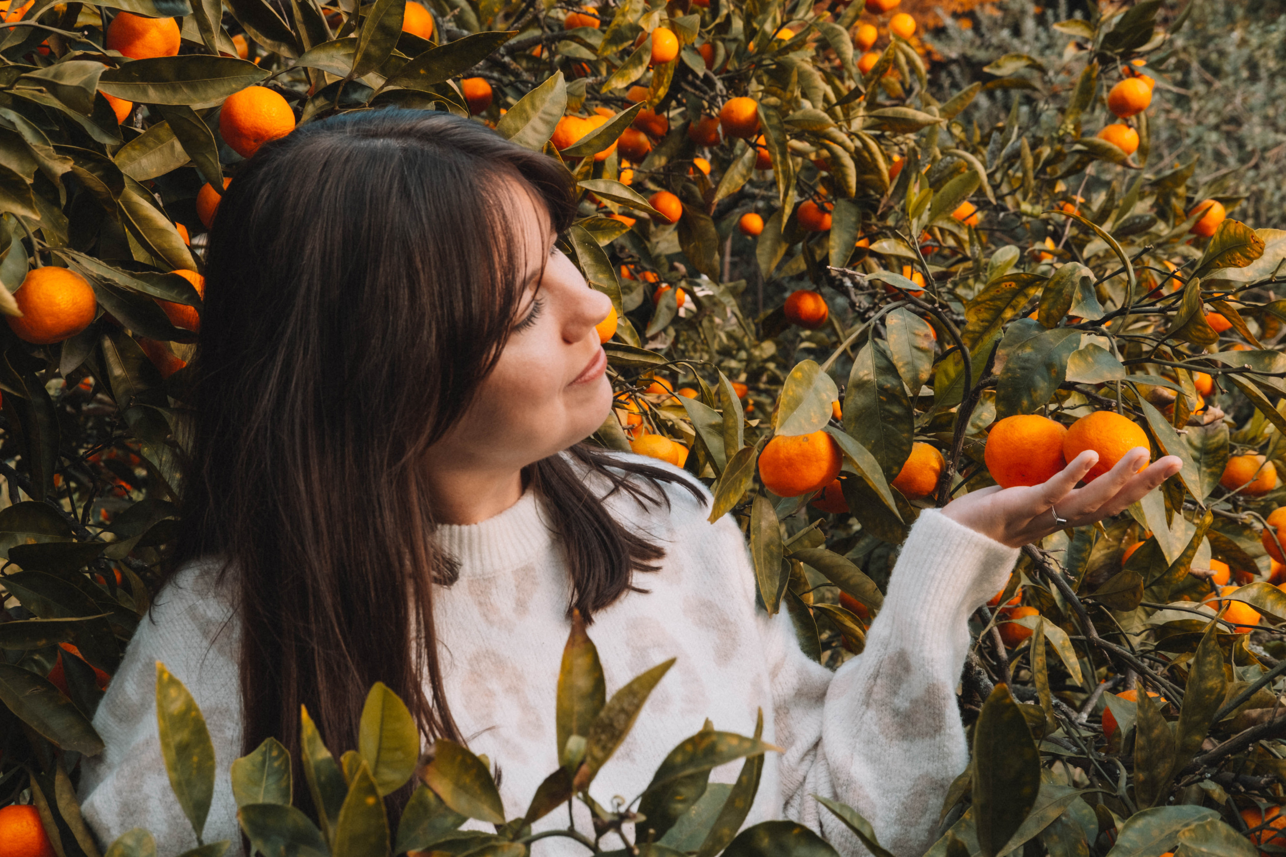 Фотодень «Мандариновый рай»