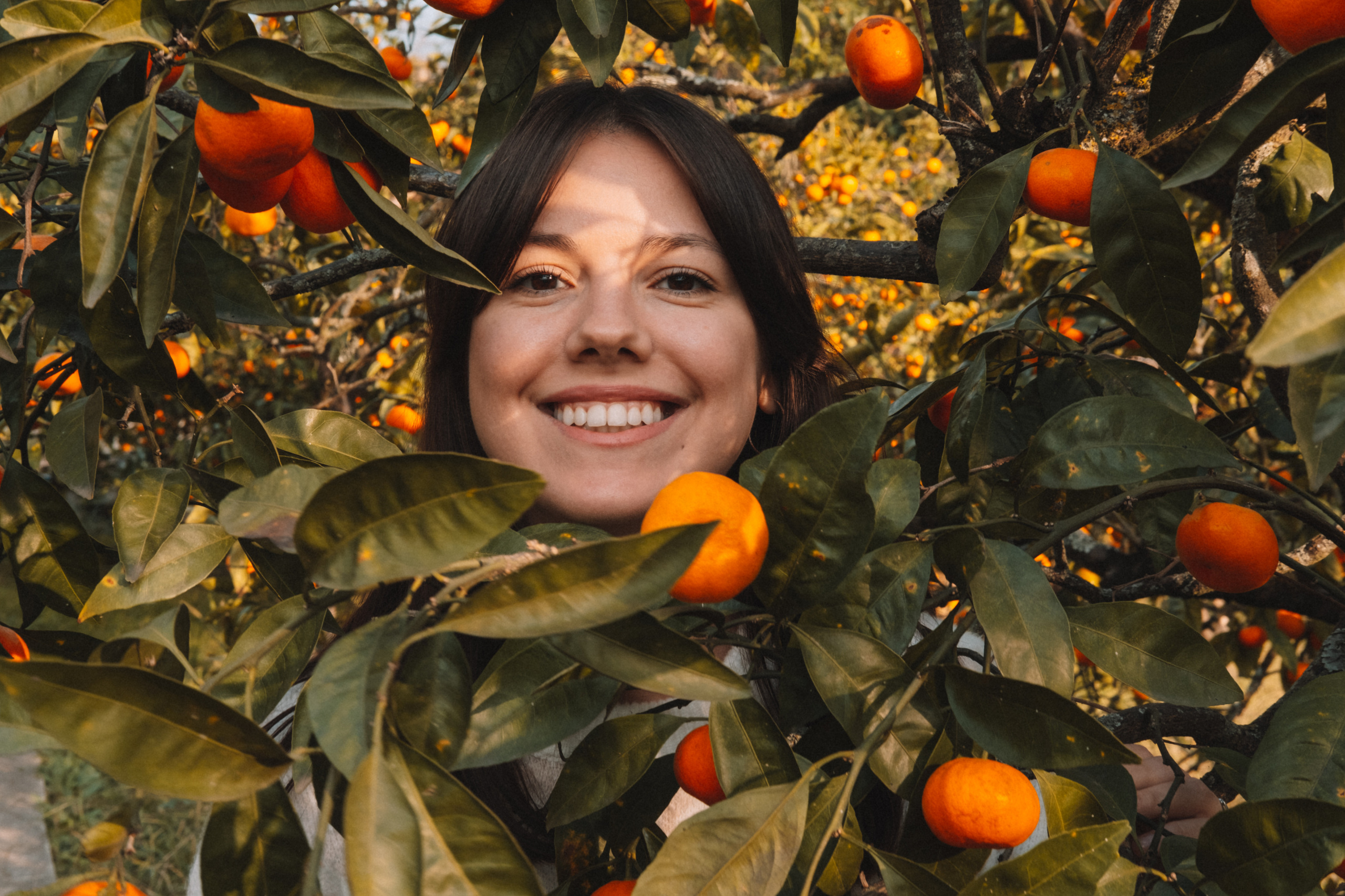 Фотодень «Мандариновый рай»