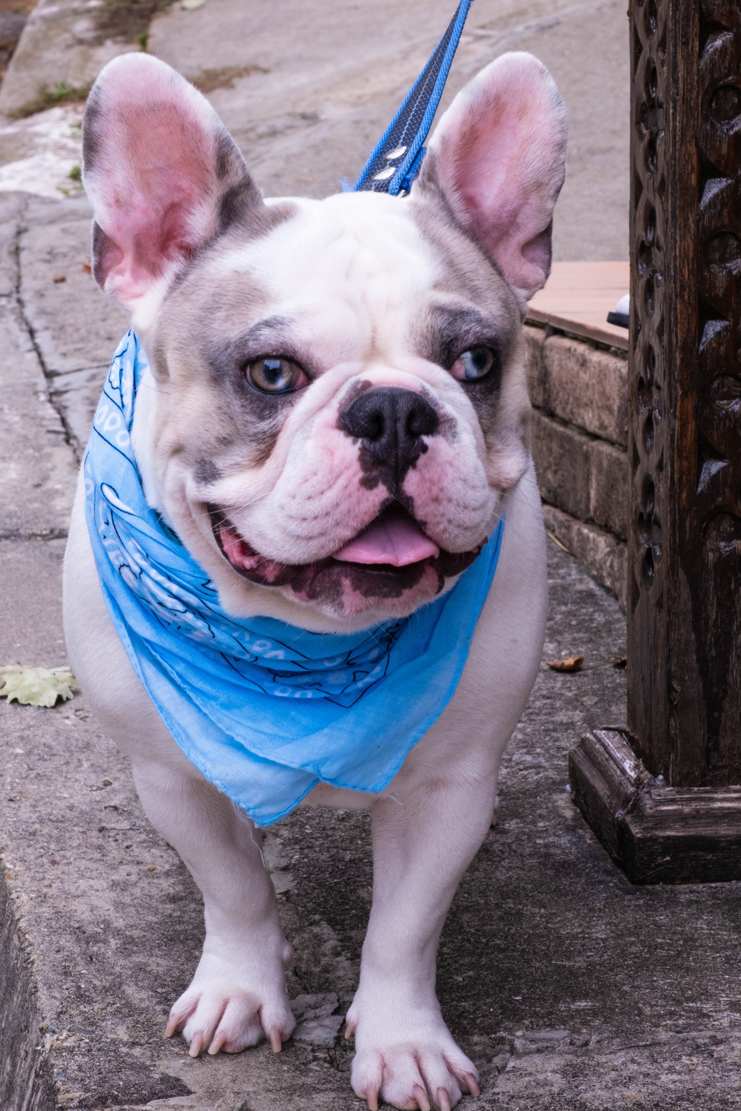 Настя & Марло