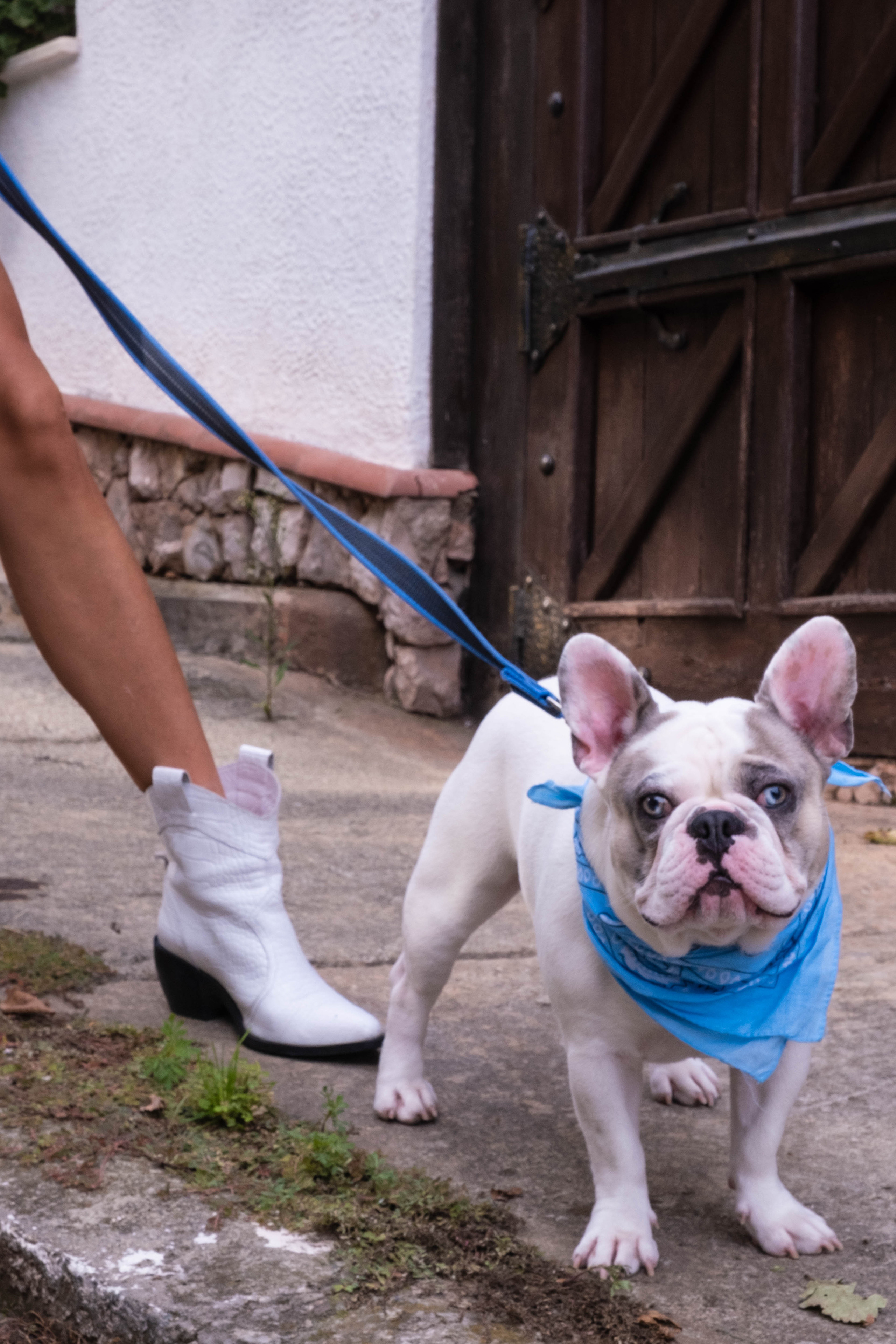 Настя & Марло