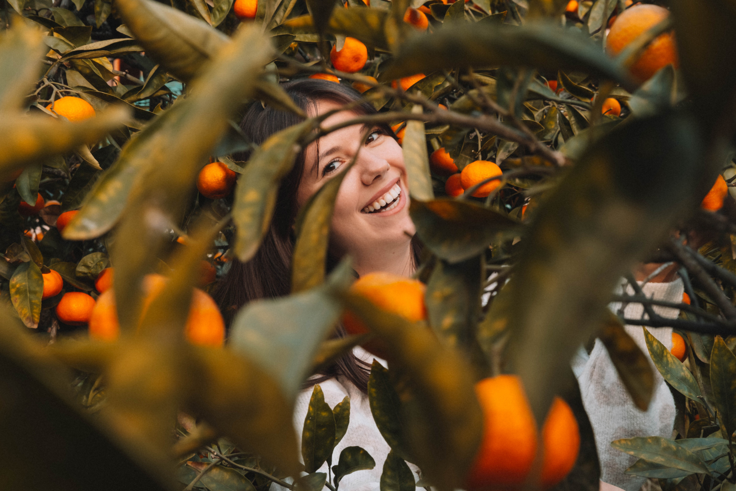 Фотодень «Мандариновый рай»