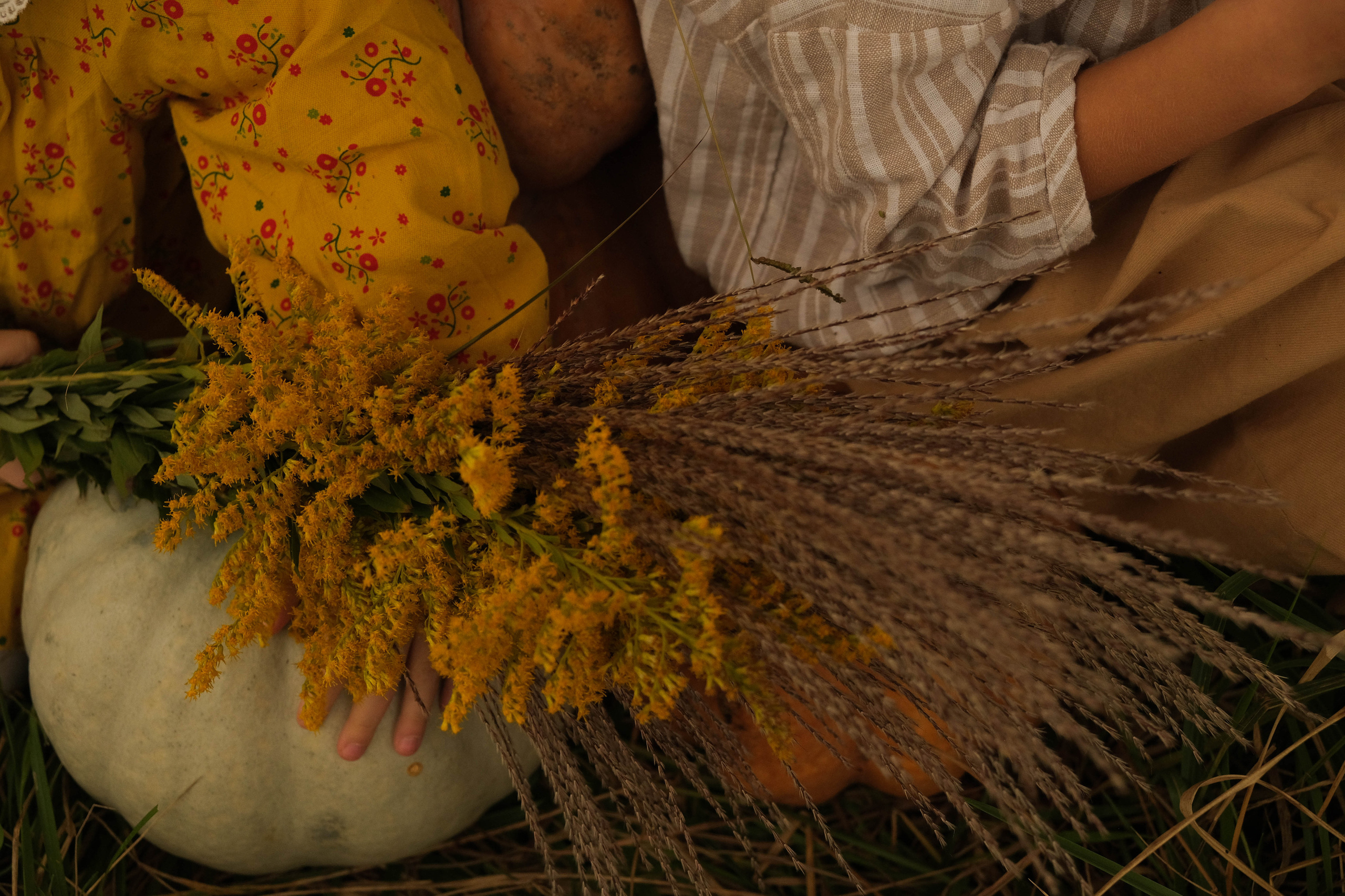 Ясения и Илья