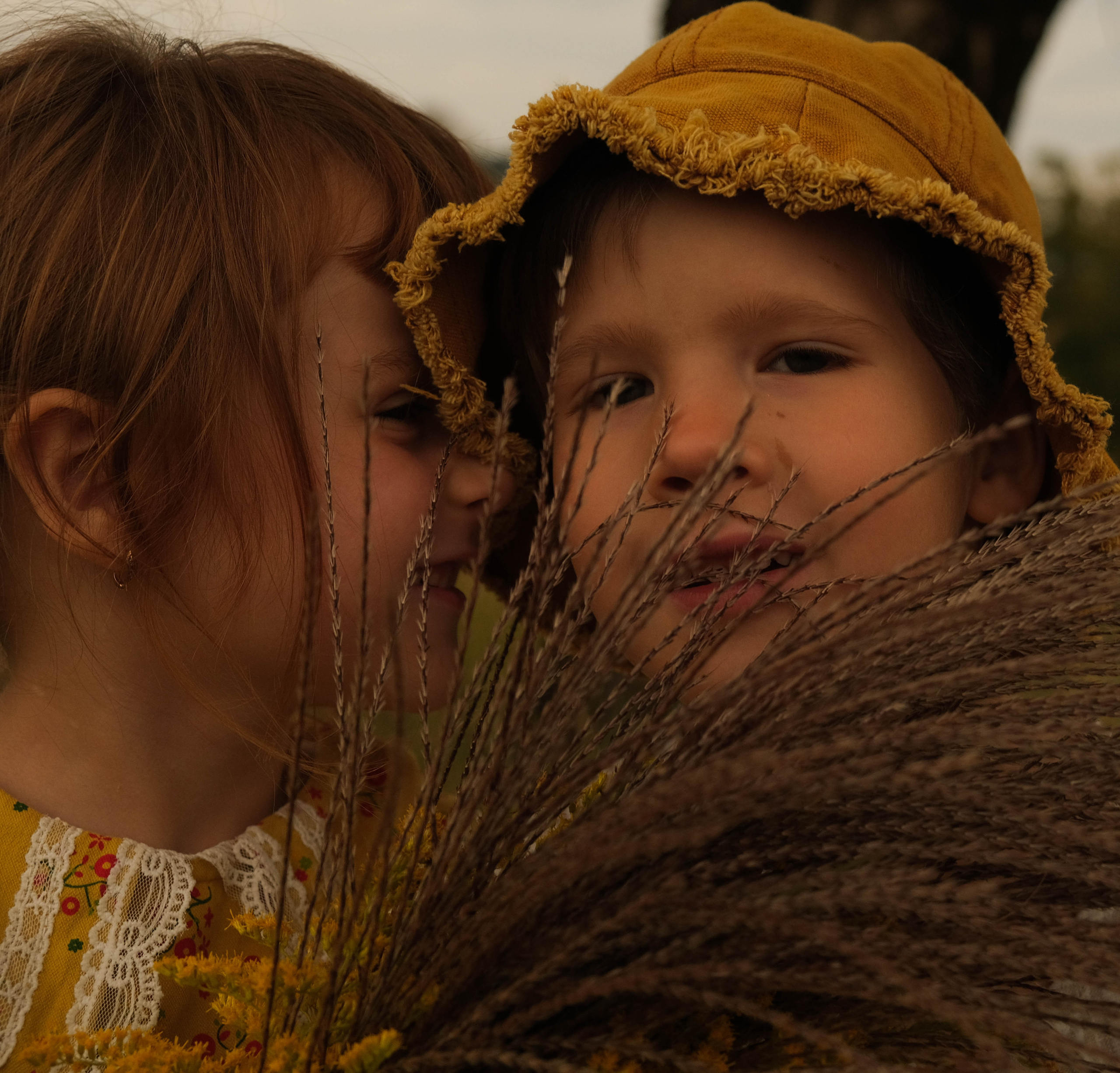 Ясения и Илья