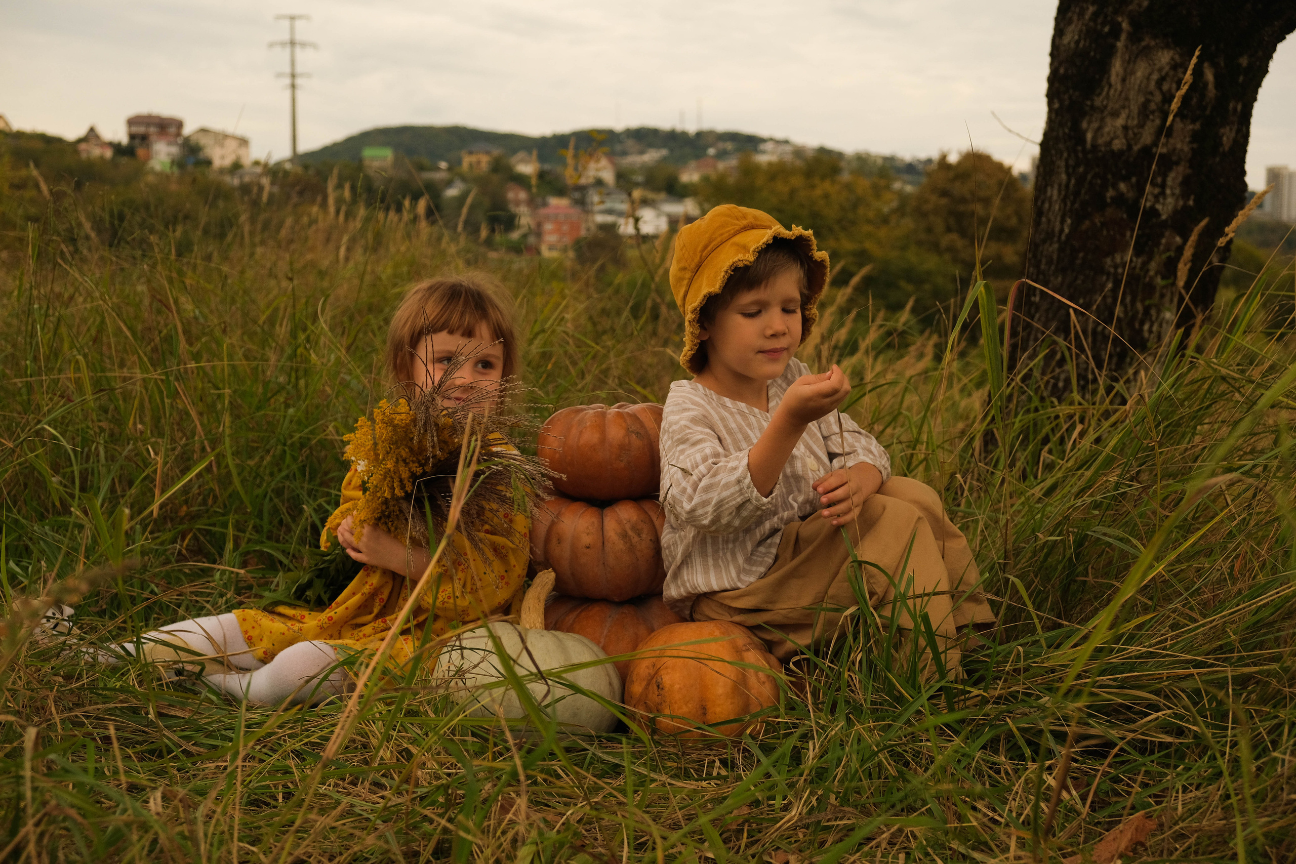 Ясения и Илья