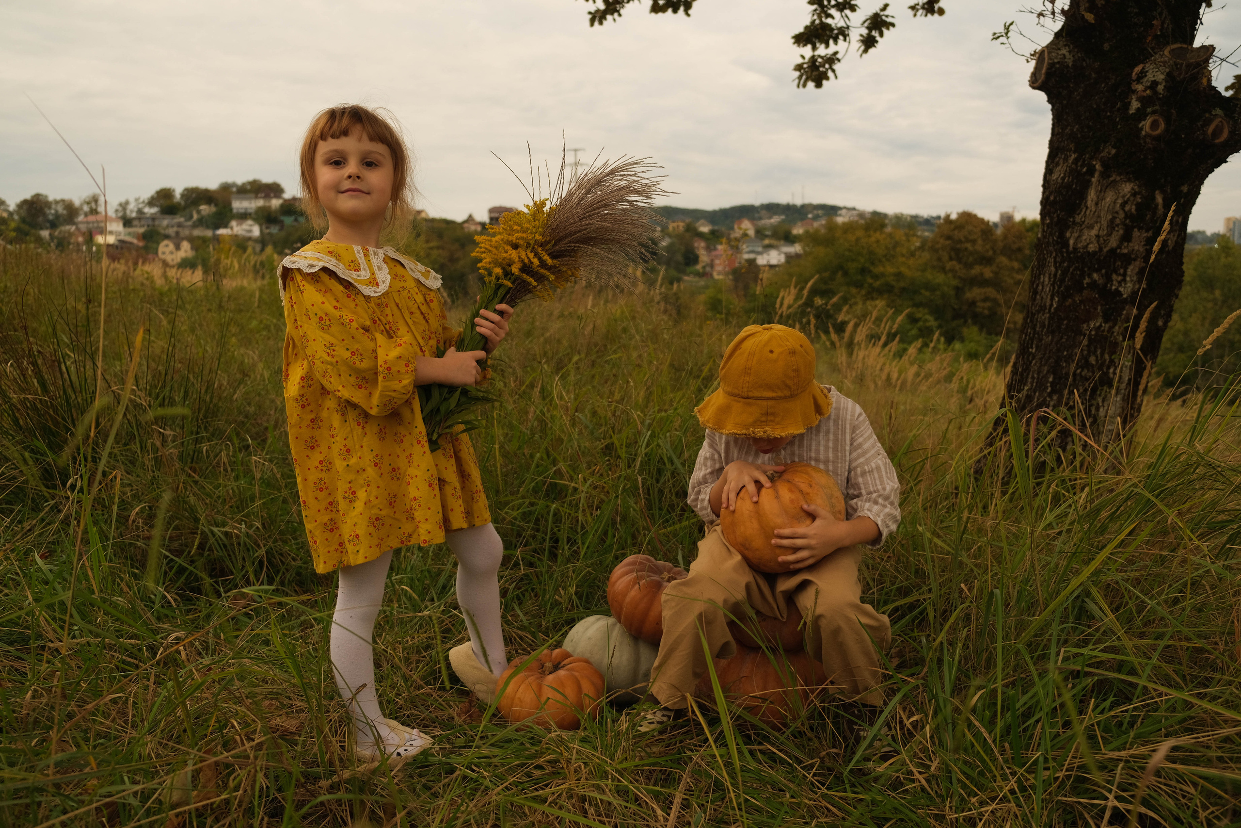 Ясения и Илья