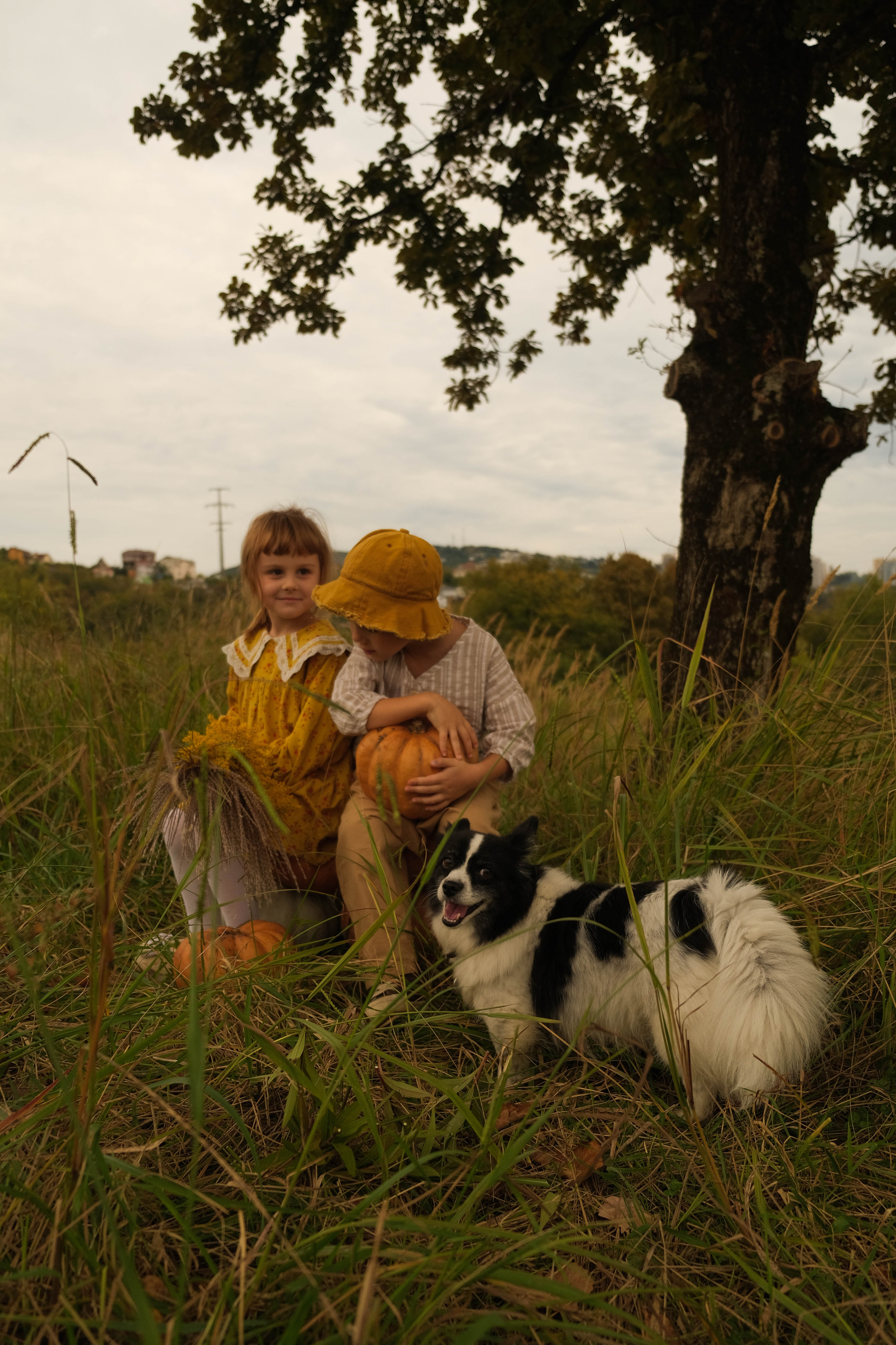 Ясения и Илья