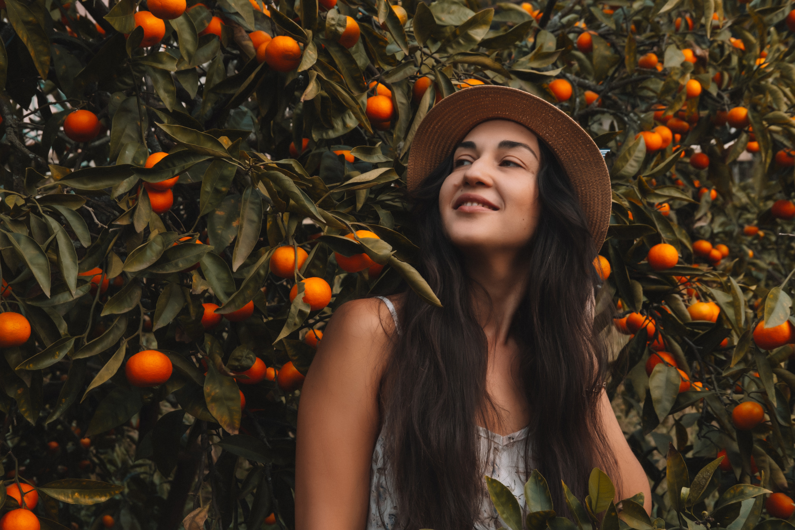 Стелла в мандаринах