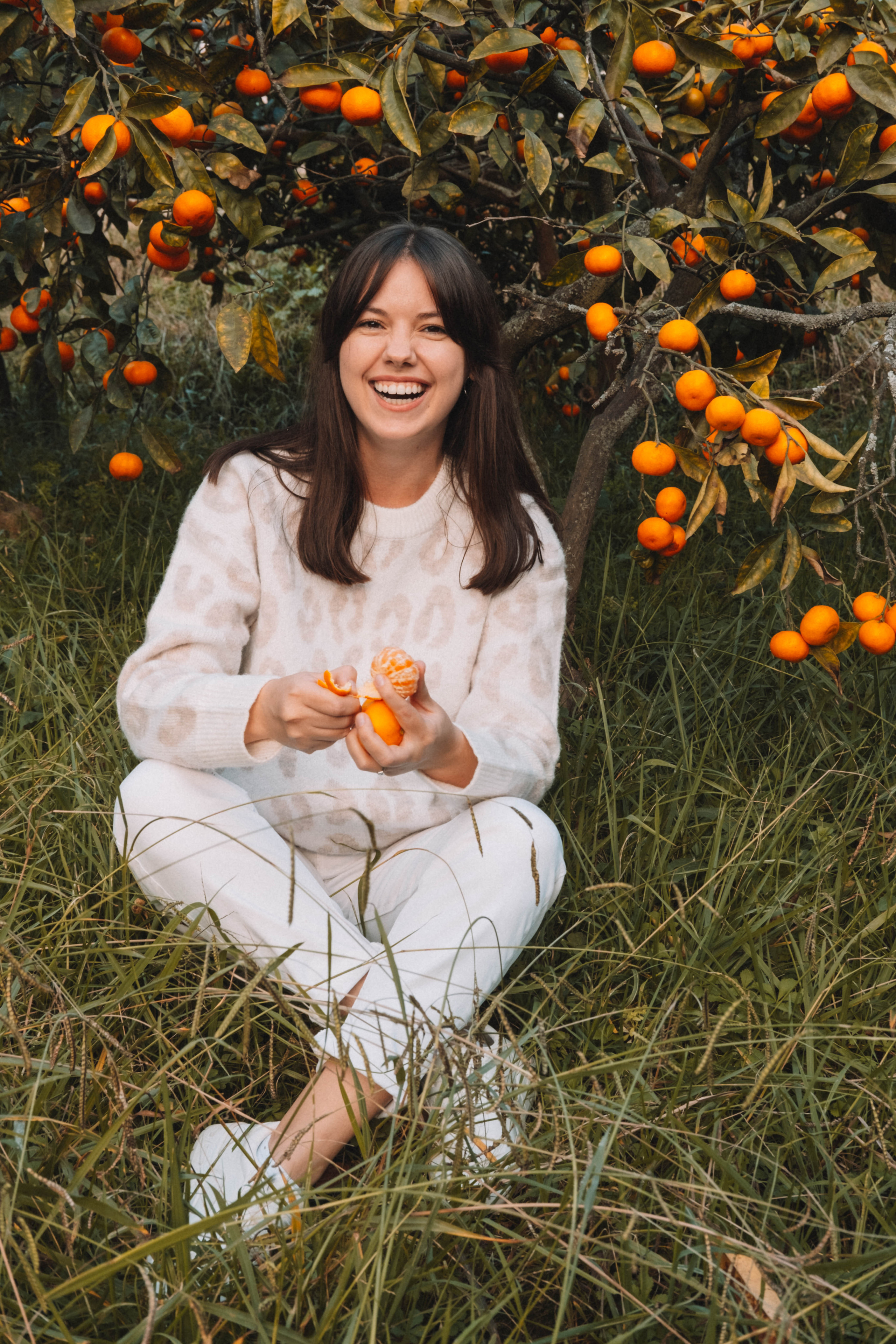 Фотодень «Мандариновый рай»