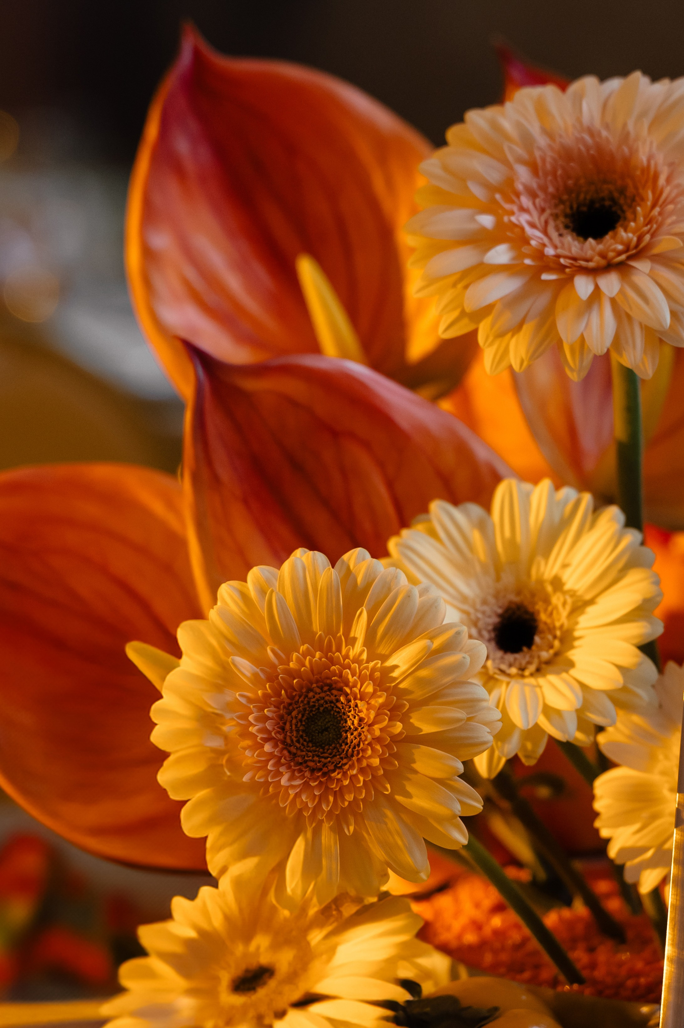 Свадебный и портретный фотограф в Липецке Анастасия Ролдугина