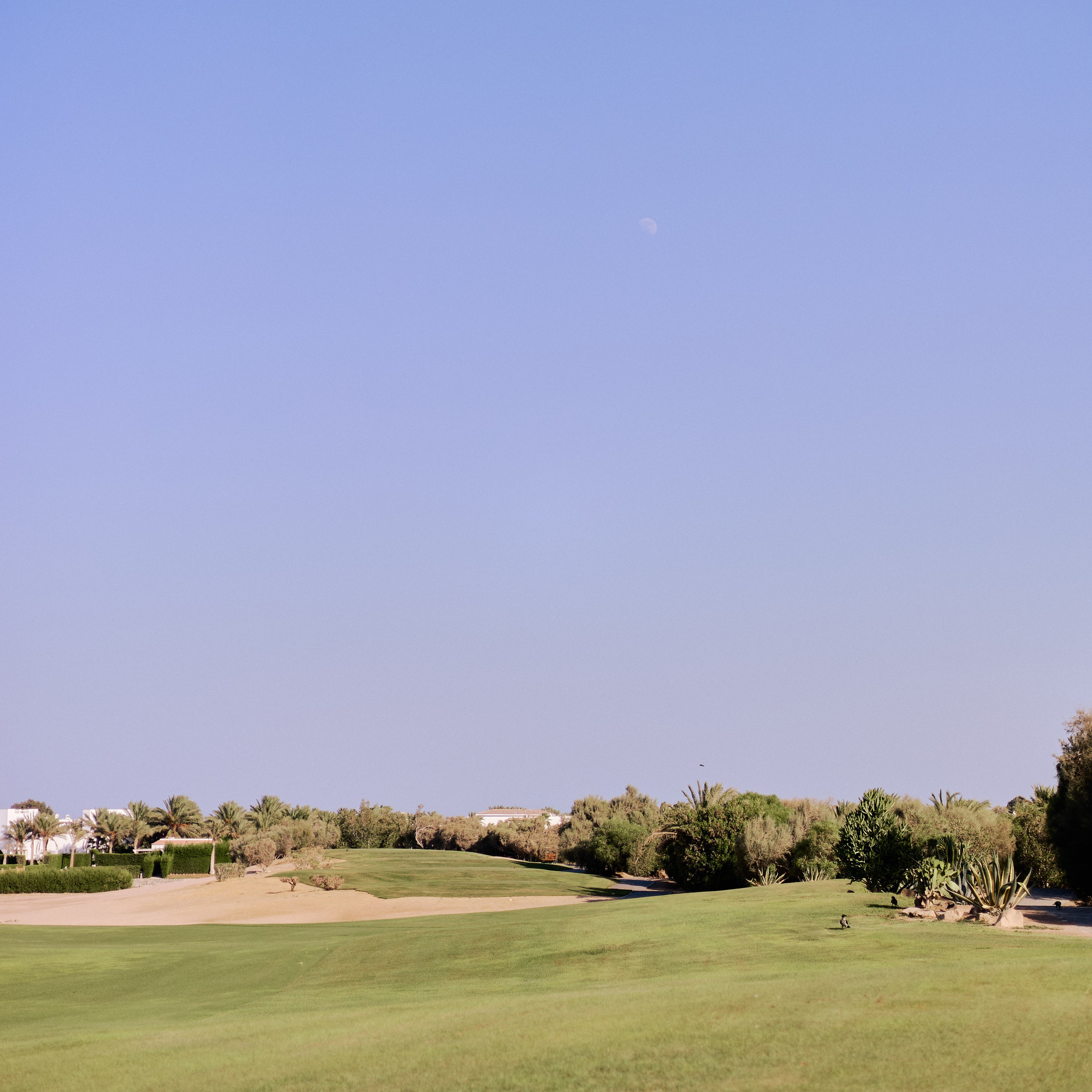 Другое 3. Jorgis Talè — photographer, kind person, teacher of arts and other mag