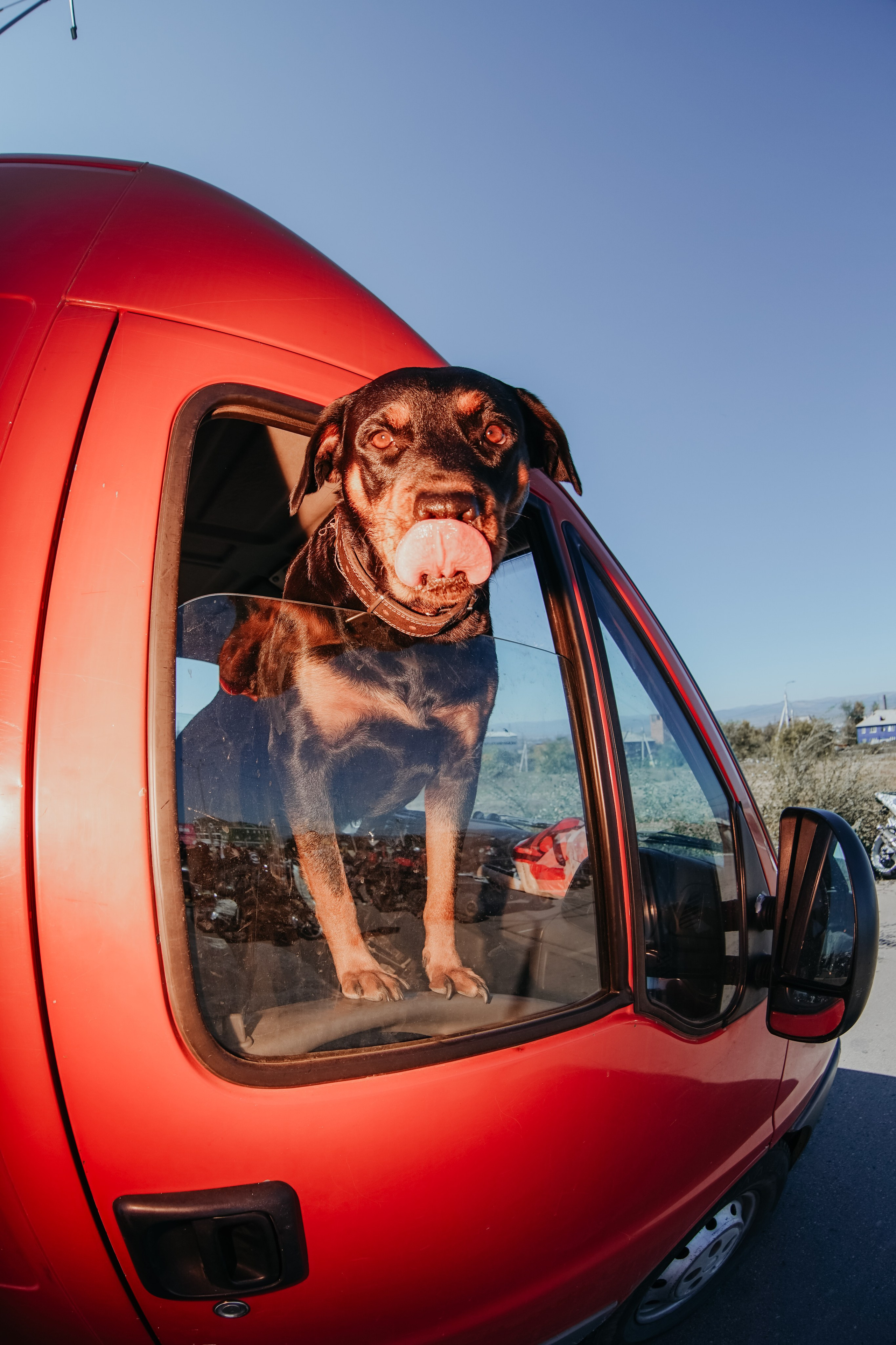 Репортажная съемка. Фотограф в Улан-Удэ. Свадебный фотограф в Улан-Удэ