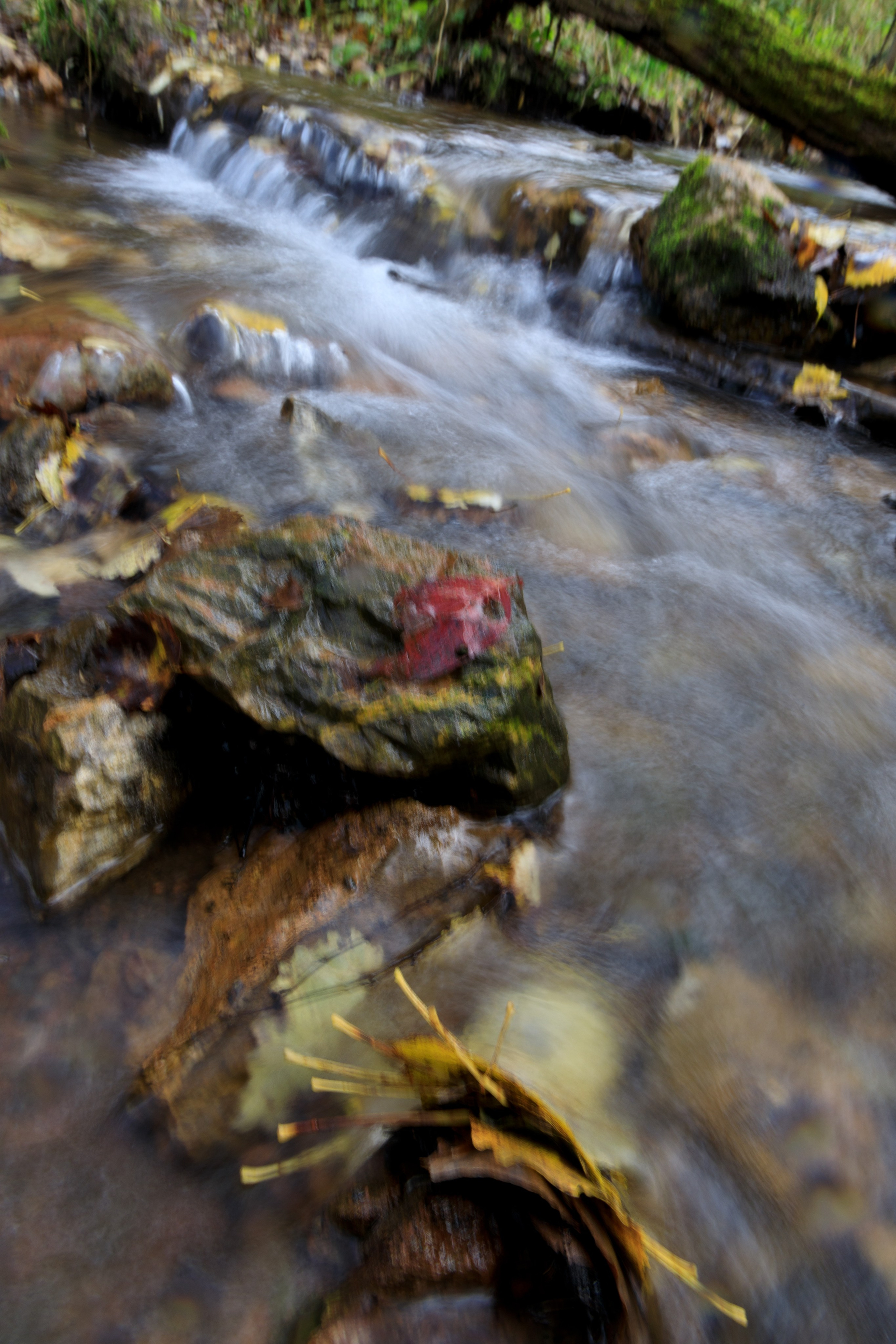 Мир вокруг нас. Разное. Фотограф Наталья Кузьмик г. Красноярск