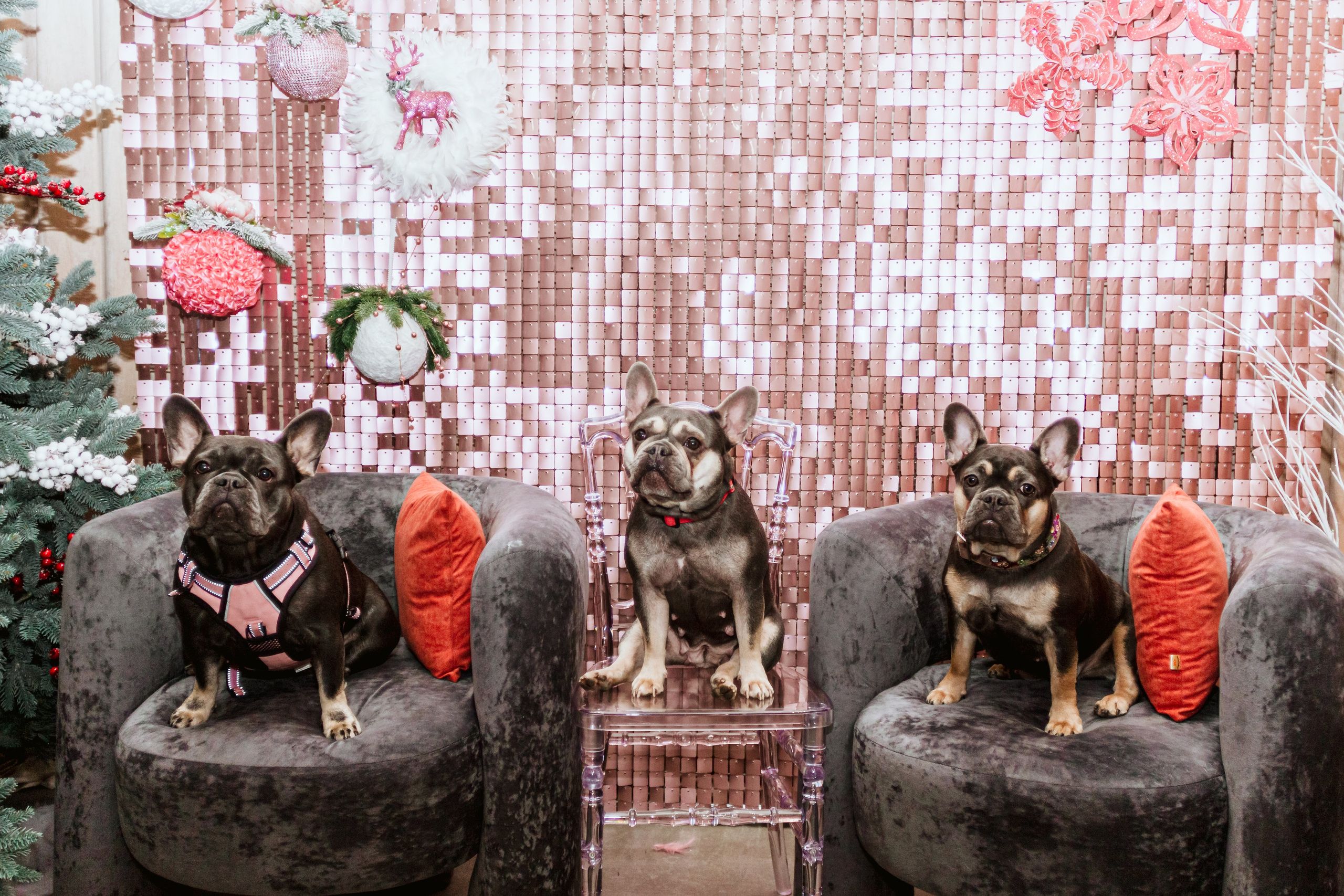 Бульёлка 2024. Фотограф-анималист Татьяна Степанова