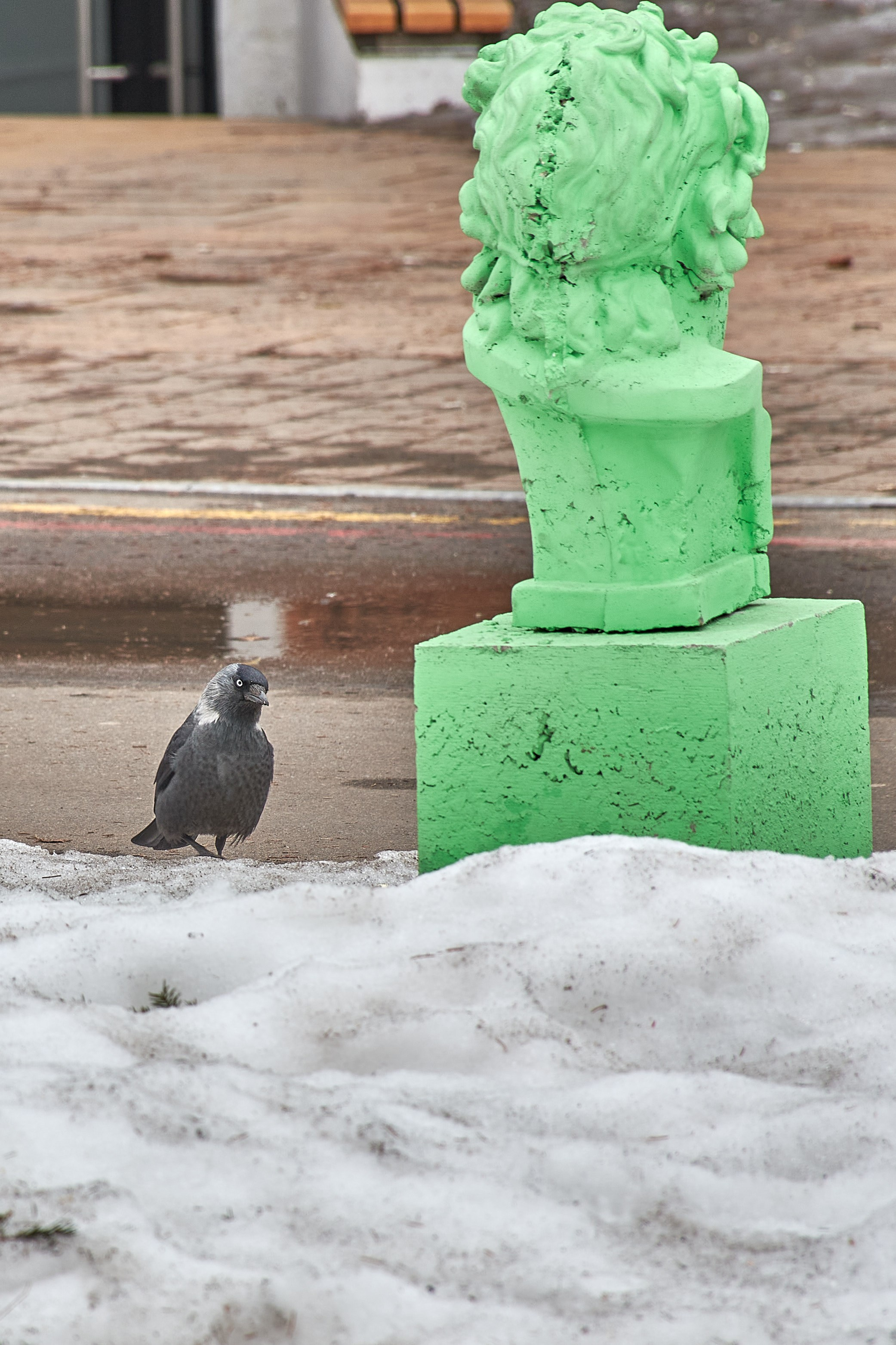 20210316-18 Тула. Дмитрий Ремизов. Фотография, как хобби