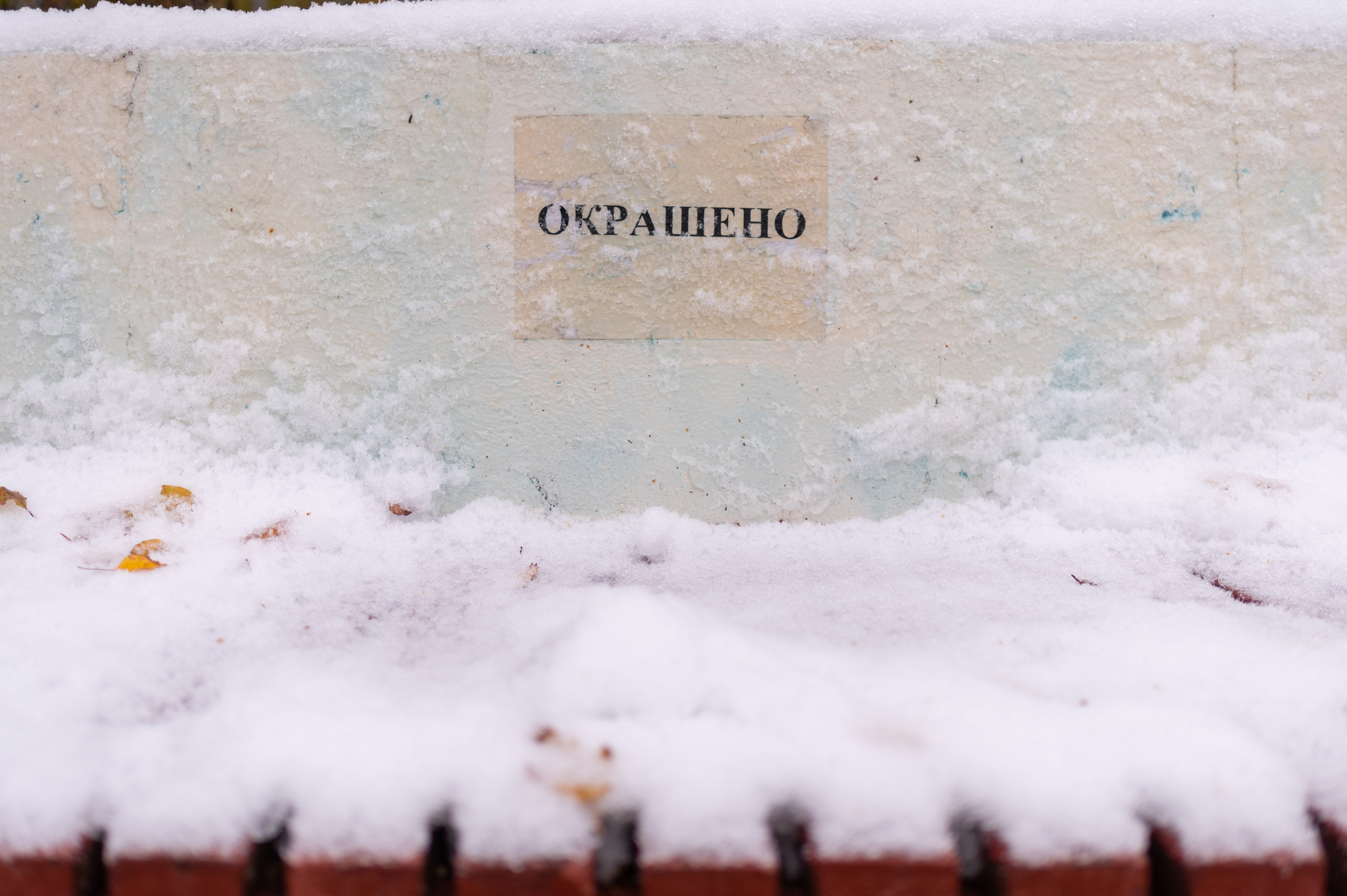 20231030 Тест Tamron SP 35 mm F/1.8. Дмитрий Ремизов. Фотография, как хобби