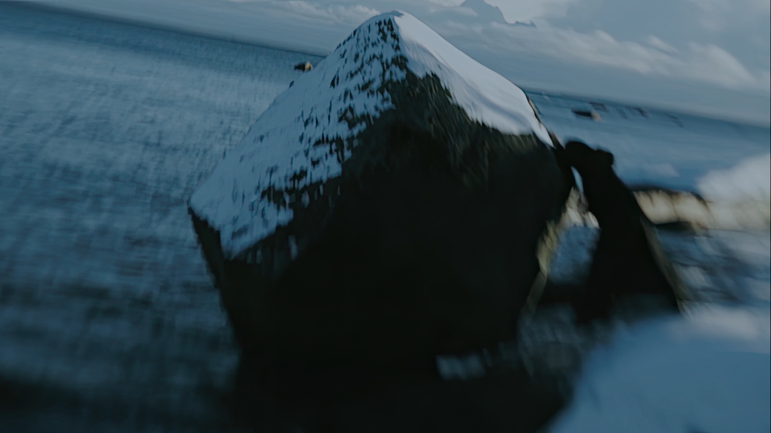 PULSATION OF LIFE. HOME