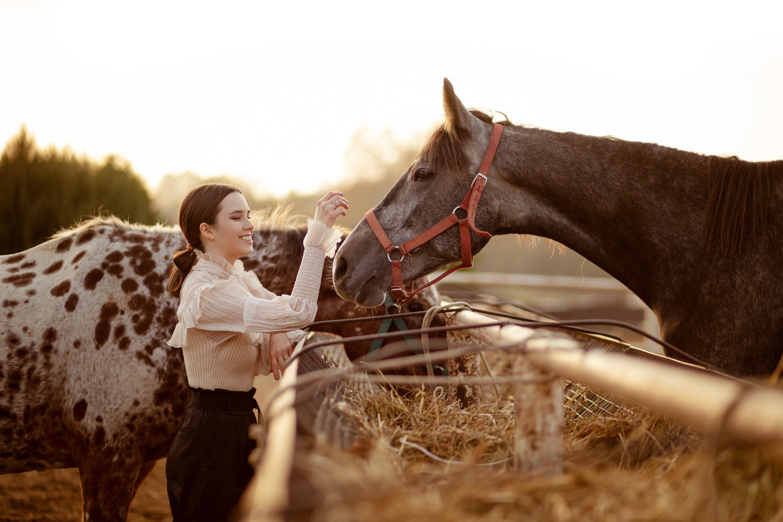 Девушка стоит между двумя лошадями.