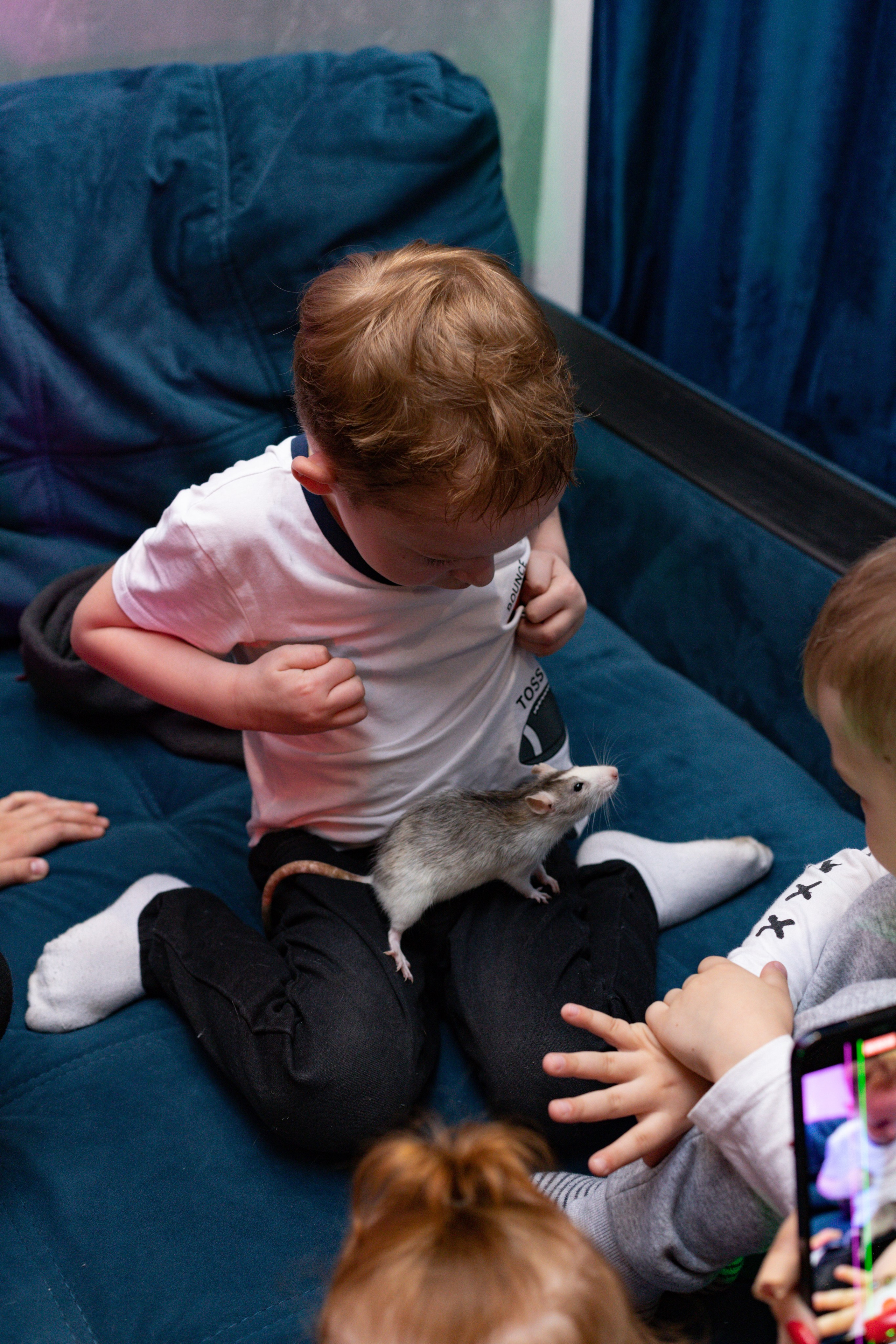 ZAHAR 5 YEAR / BIRTHDAY. Photokarish