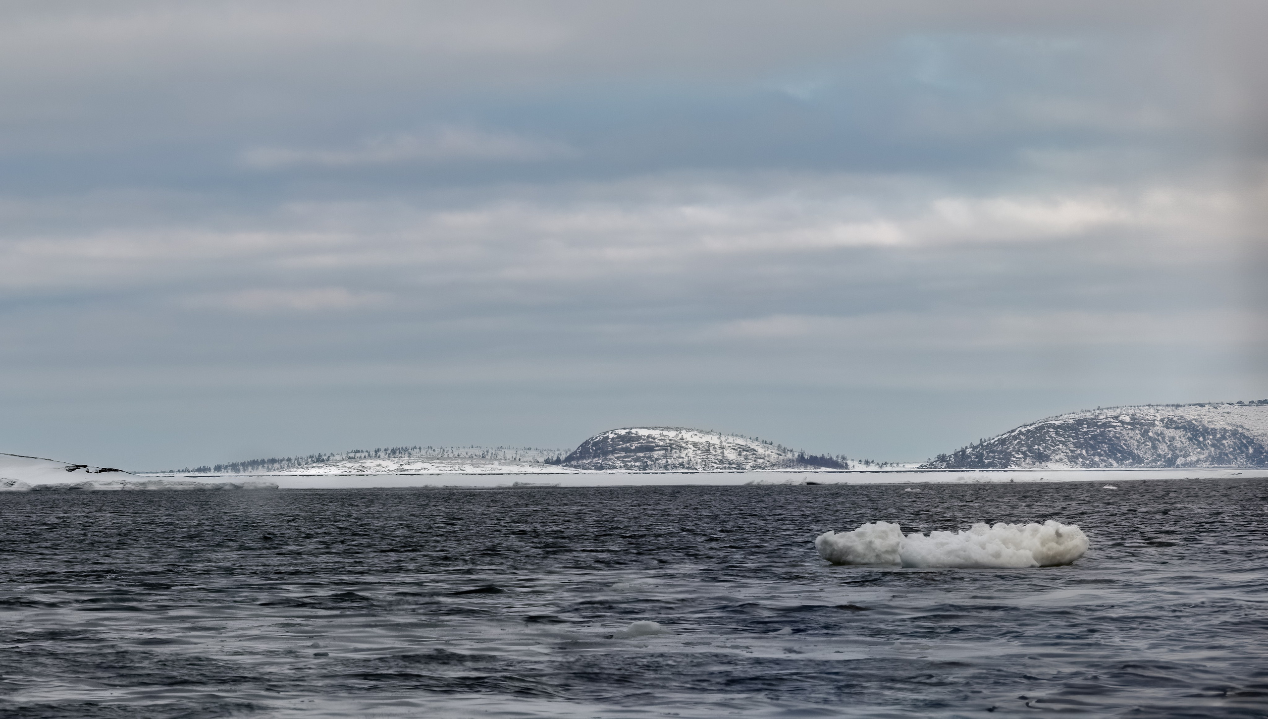 Белое море. Аэросъемка. Фото и Видео в Карелии. Алексей Фрилунд