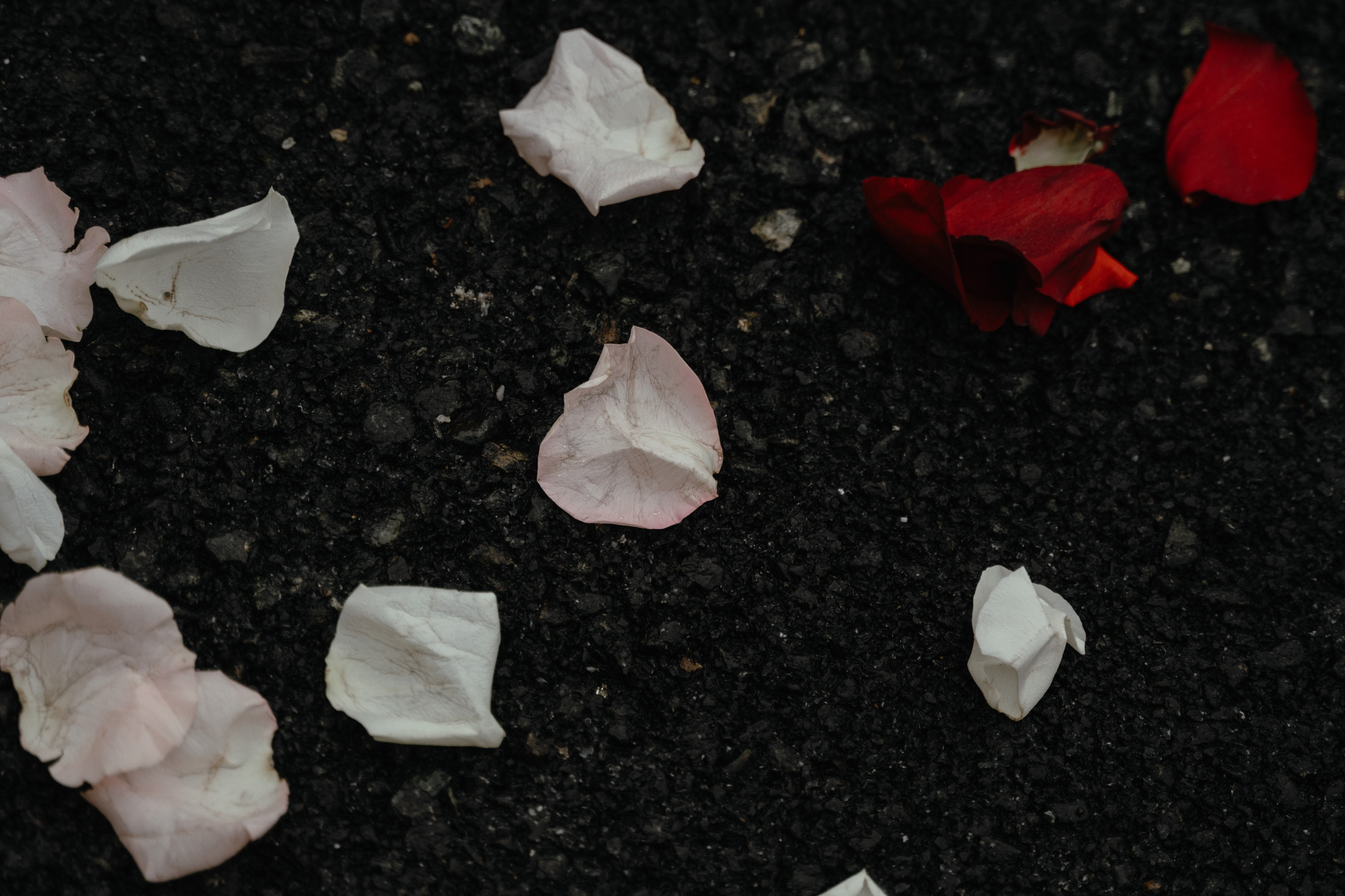 Егор и Анастасия. Фотограф Алматы