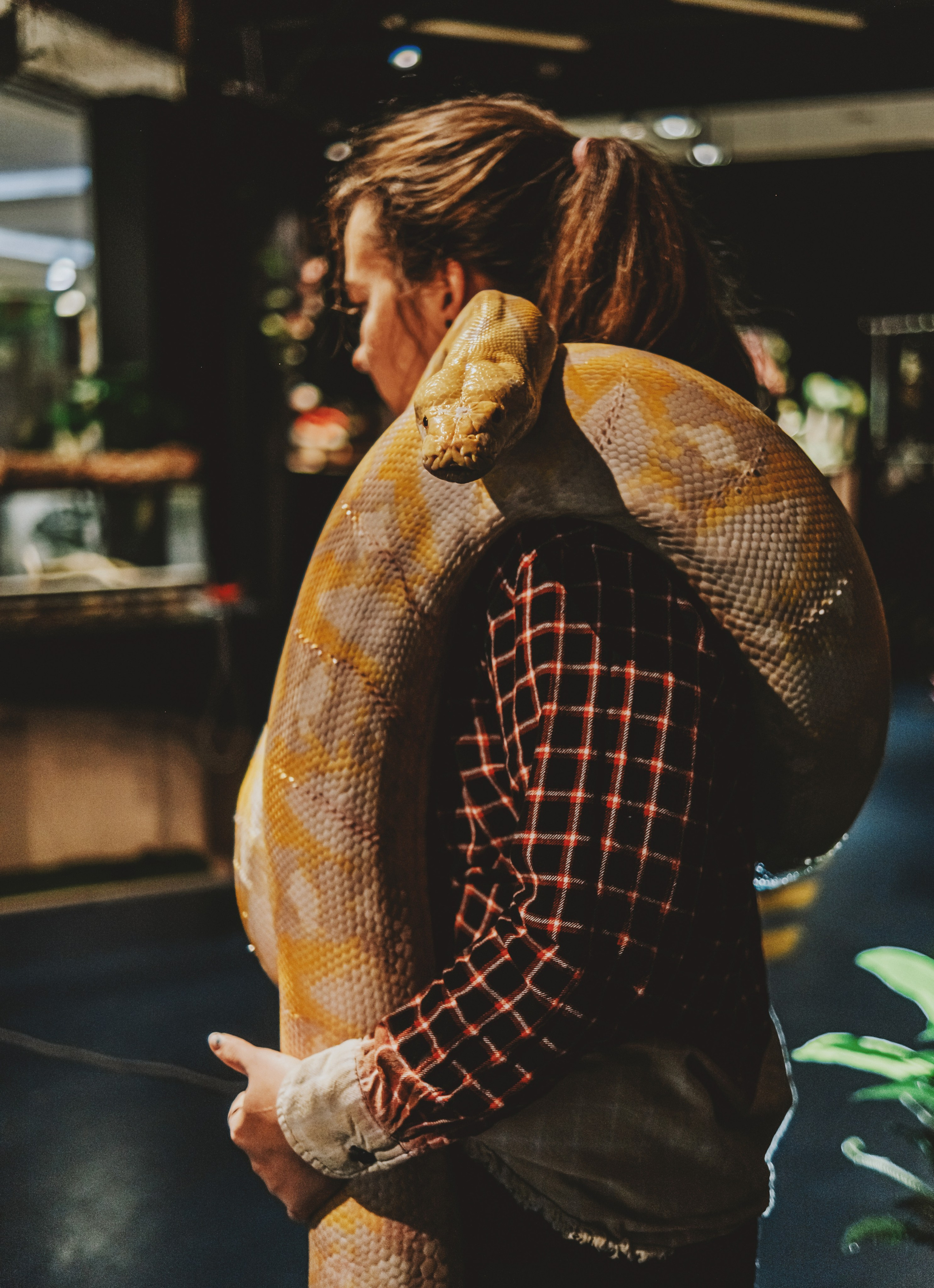 Дом Драконов. Nattie.ph