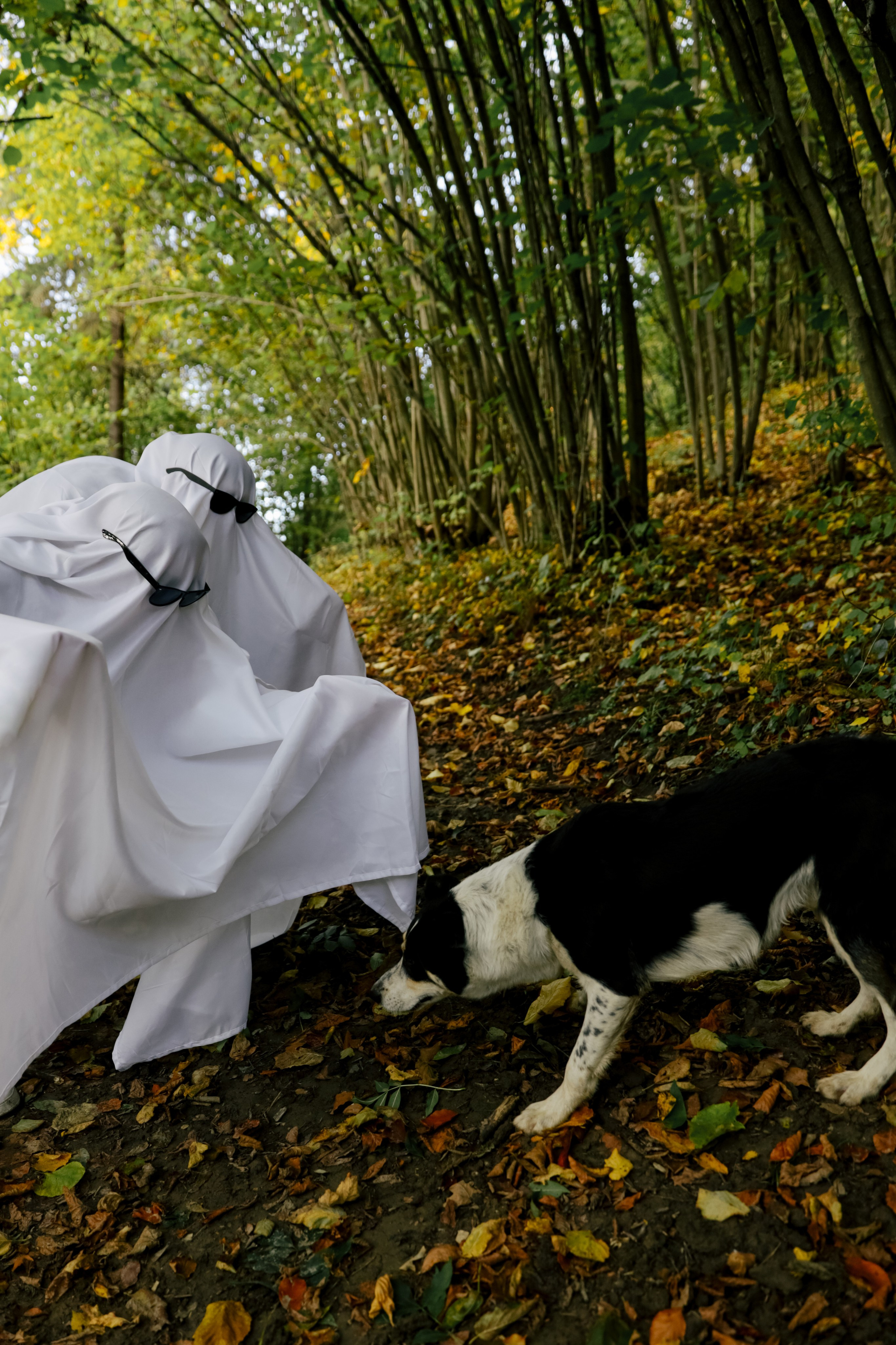 Booo. Свадебный и семейный фотограф в Варшаве