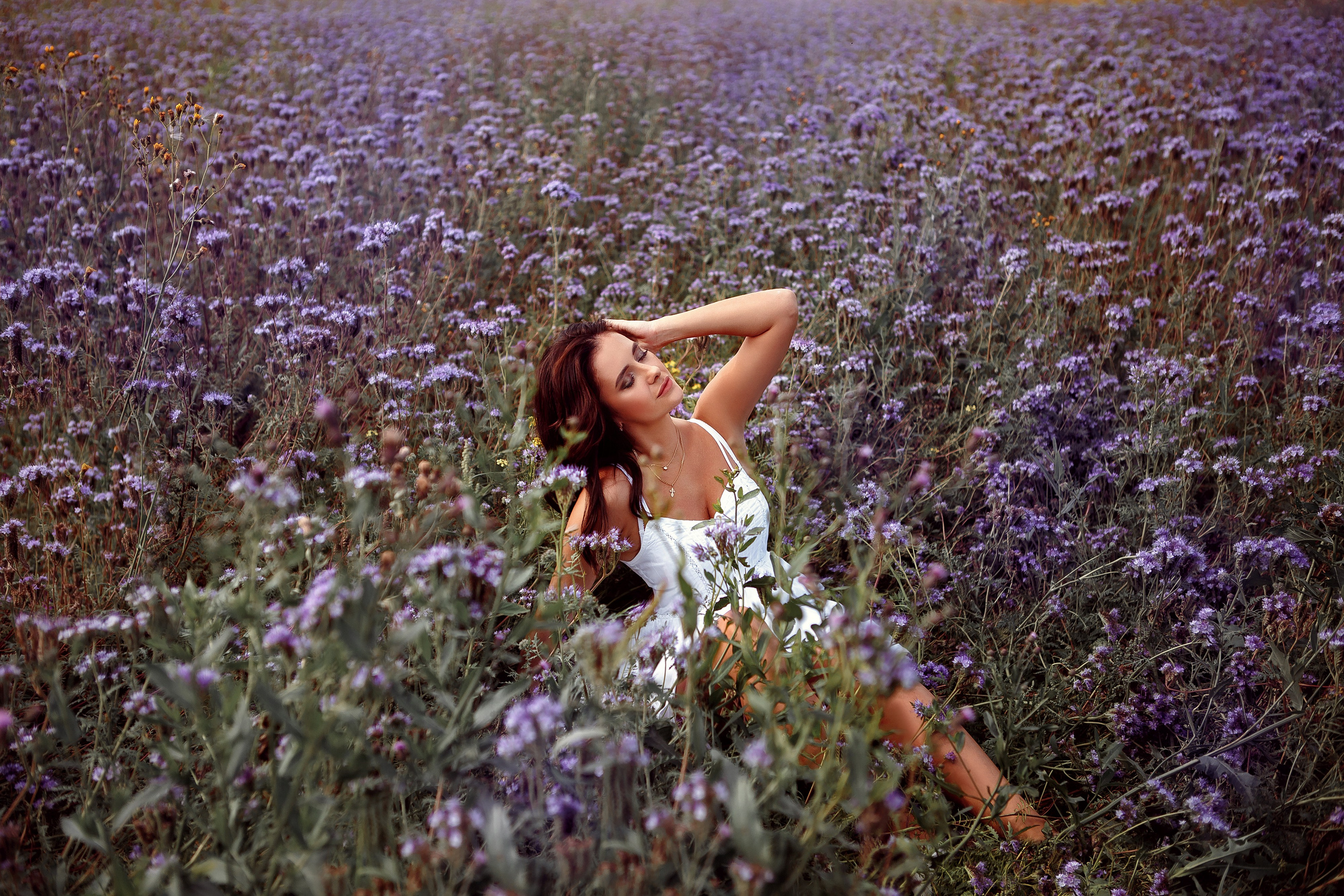 Поля сиреневые. Фотограф в Иваново и других городах Ирина Сметанкина