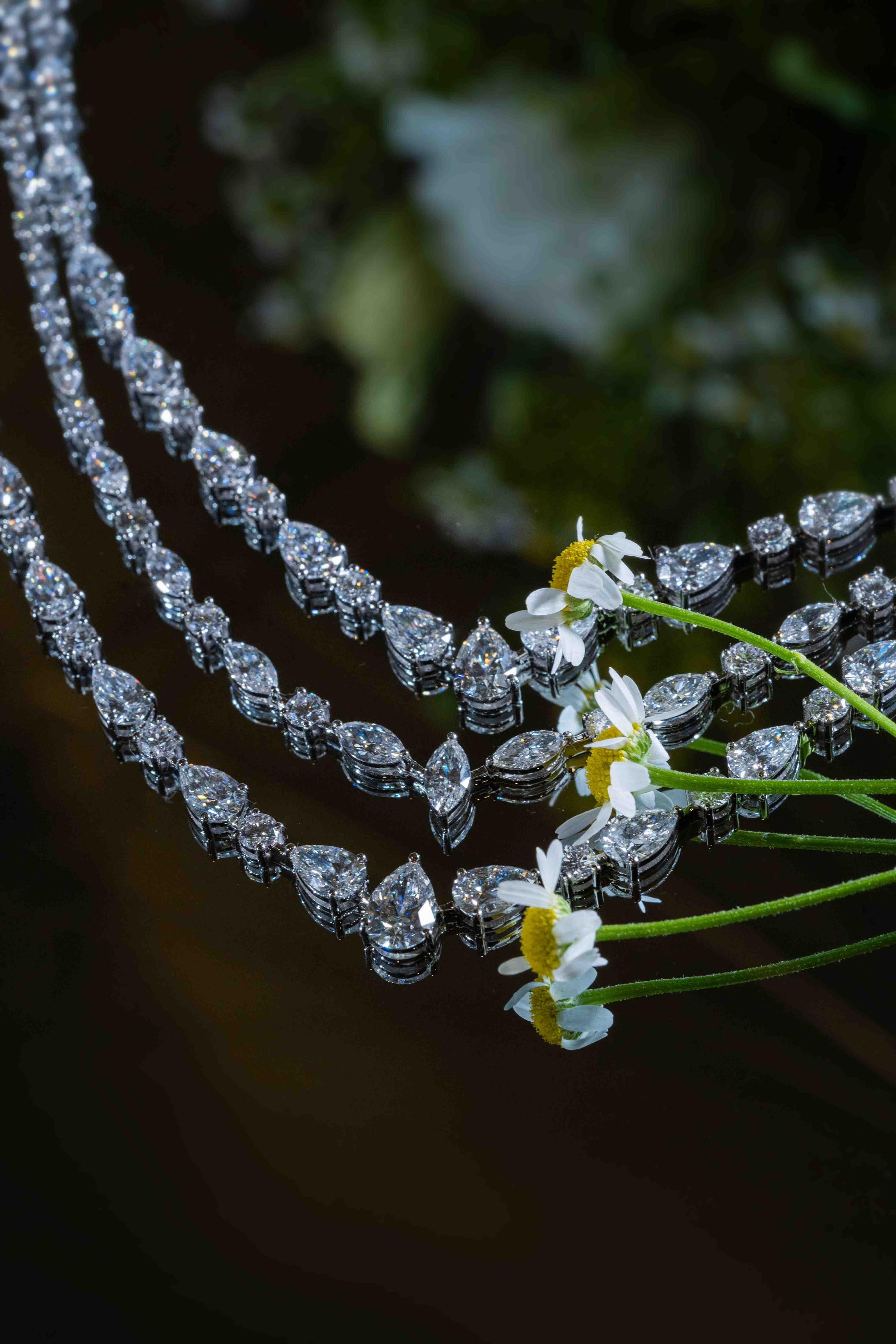 Арабская скромная помолвка дома (приватность на женские лица). Фотограф и видеограф в Москве и Абу Даби Мария Кулагина
