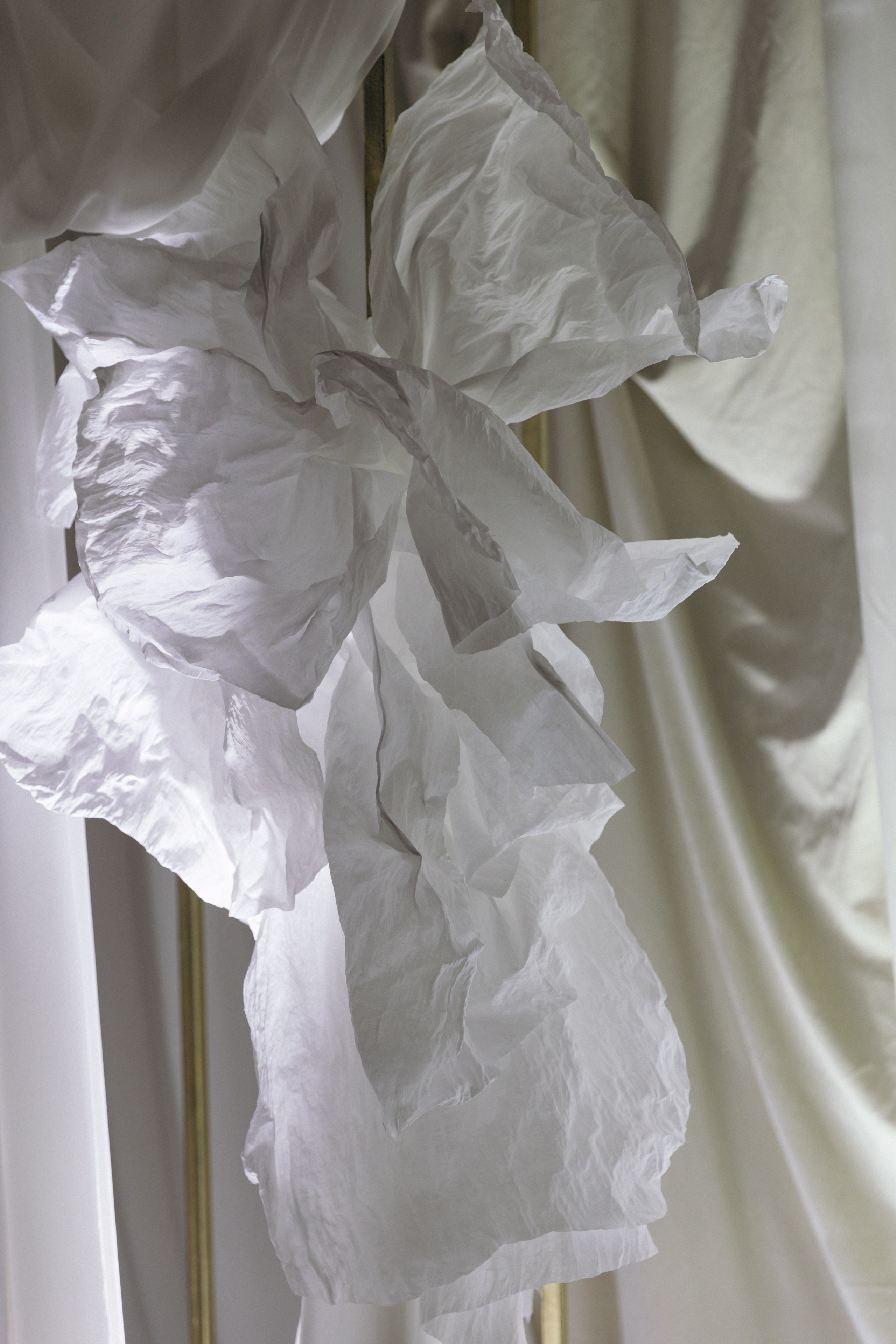 Дмитрий и Снежана, 1/11/2024. Свадебный  и семейный фотограф в Краснодаре