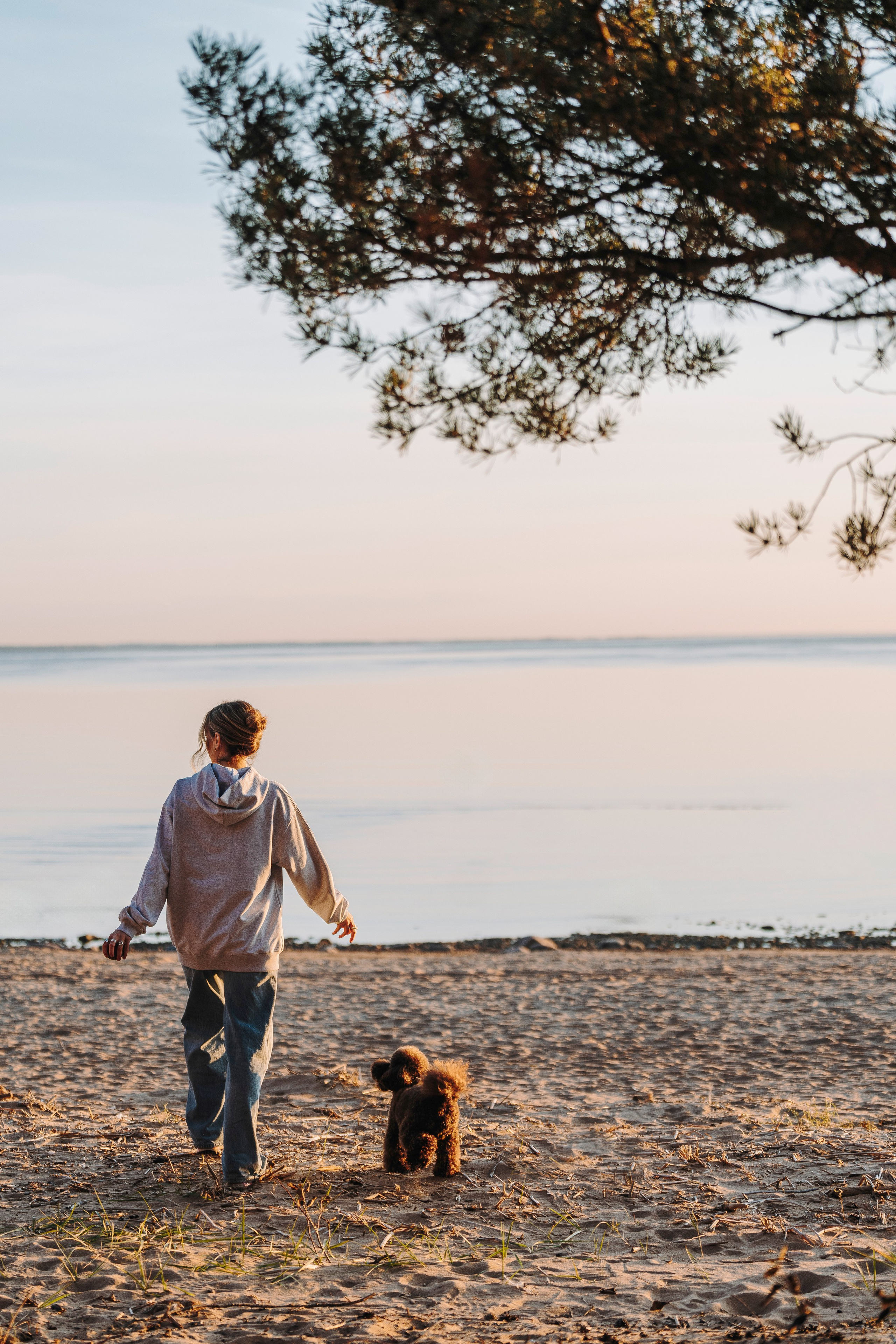 Фотосессия девушки с пуделем на пляже на закате. Фотограф анималист в Спб недорого Олеся Майорова